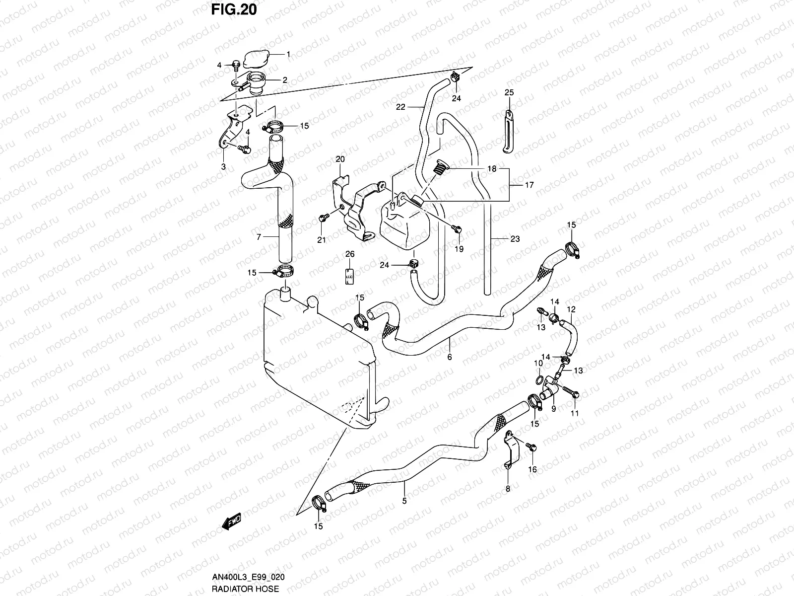 20 - RADIATOR HOSE