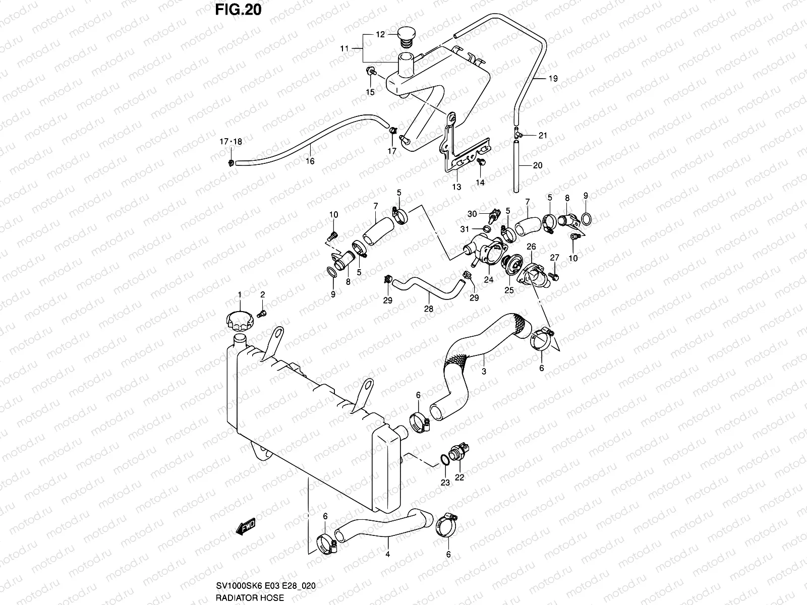 20 - RADIATOR HOSE