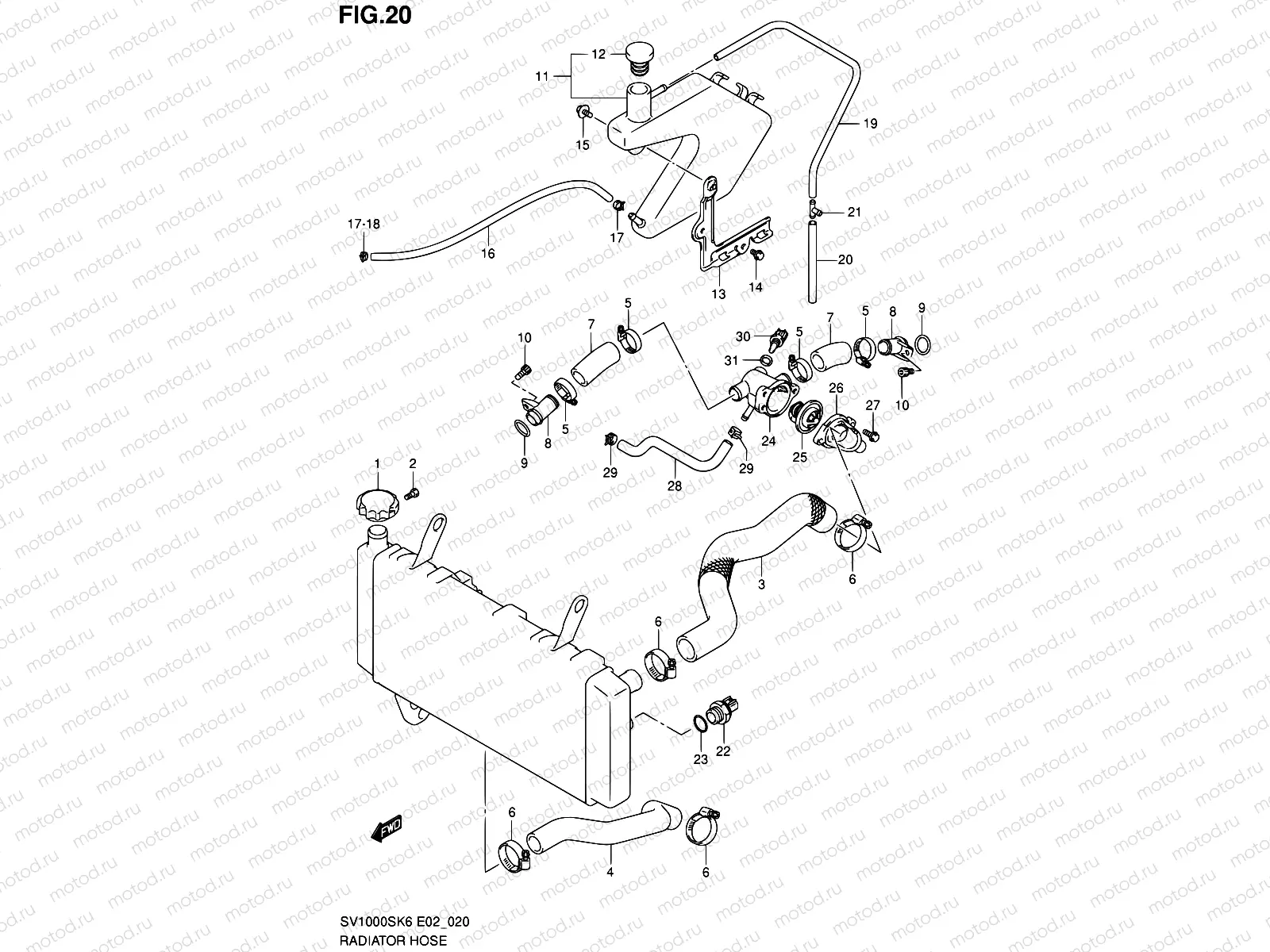 20 - RADIATOR HOSE