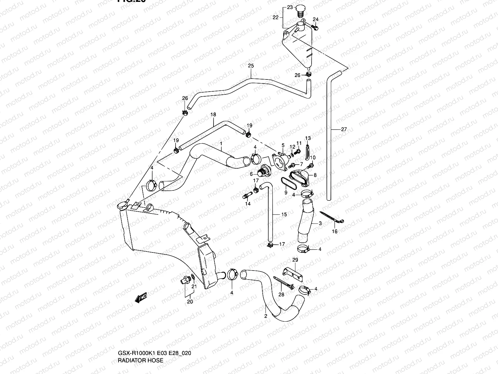 20 - RADIATOR HOSE