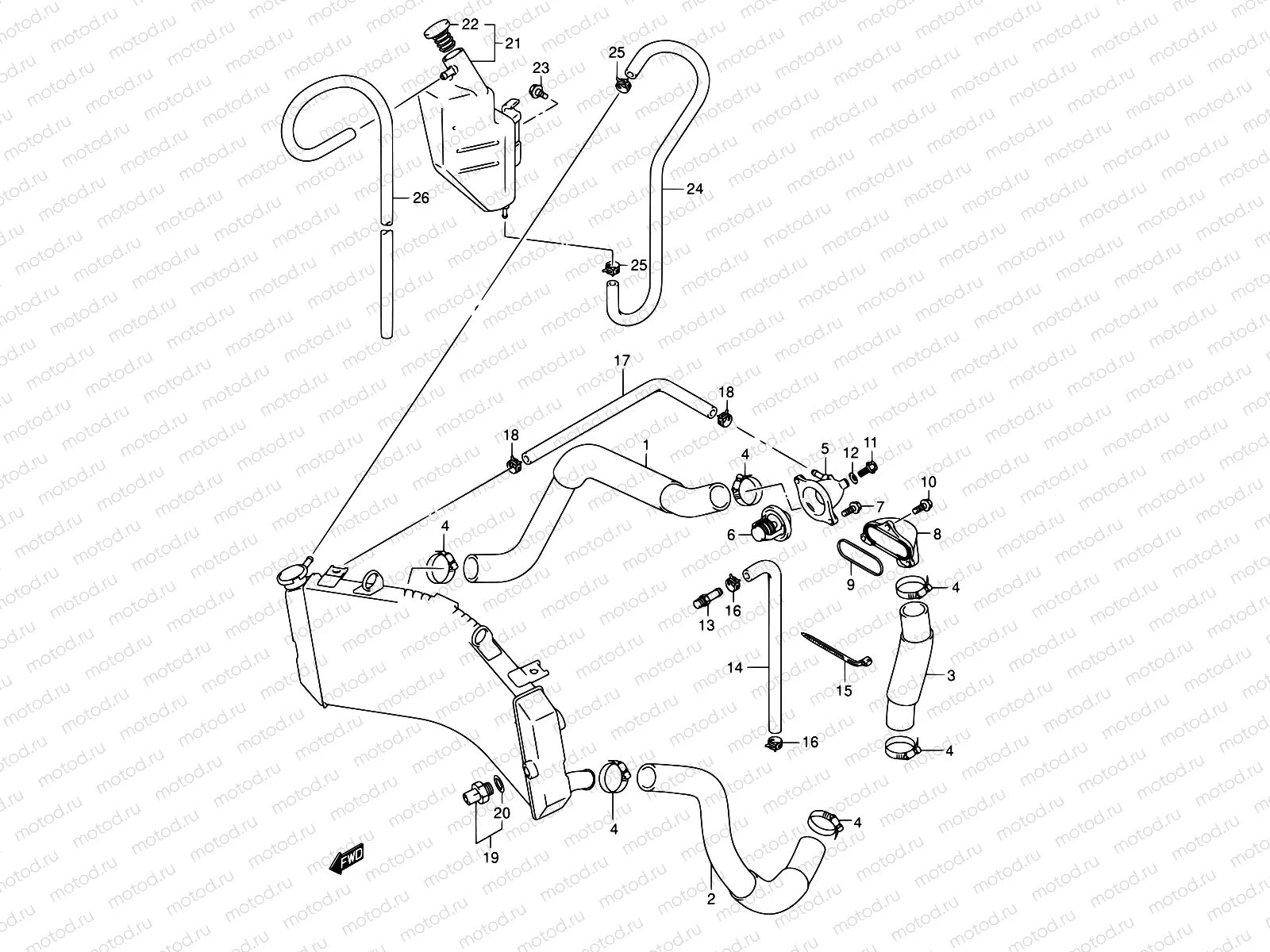 20 - RADIATOR HOSE