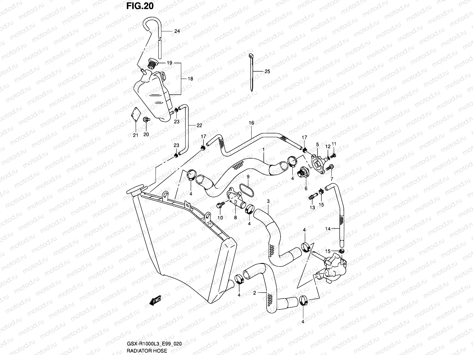 20 - RADIATOR HOSE