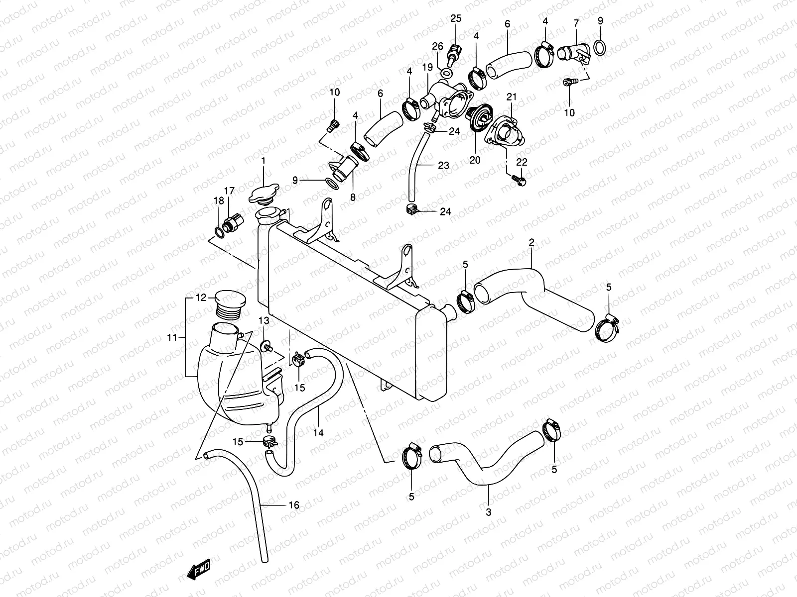 20 - RADIATOR HOSE