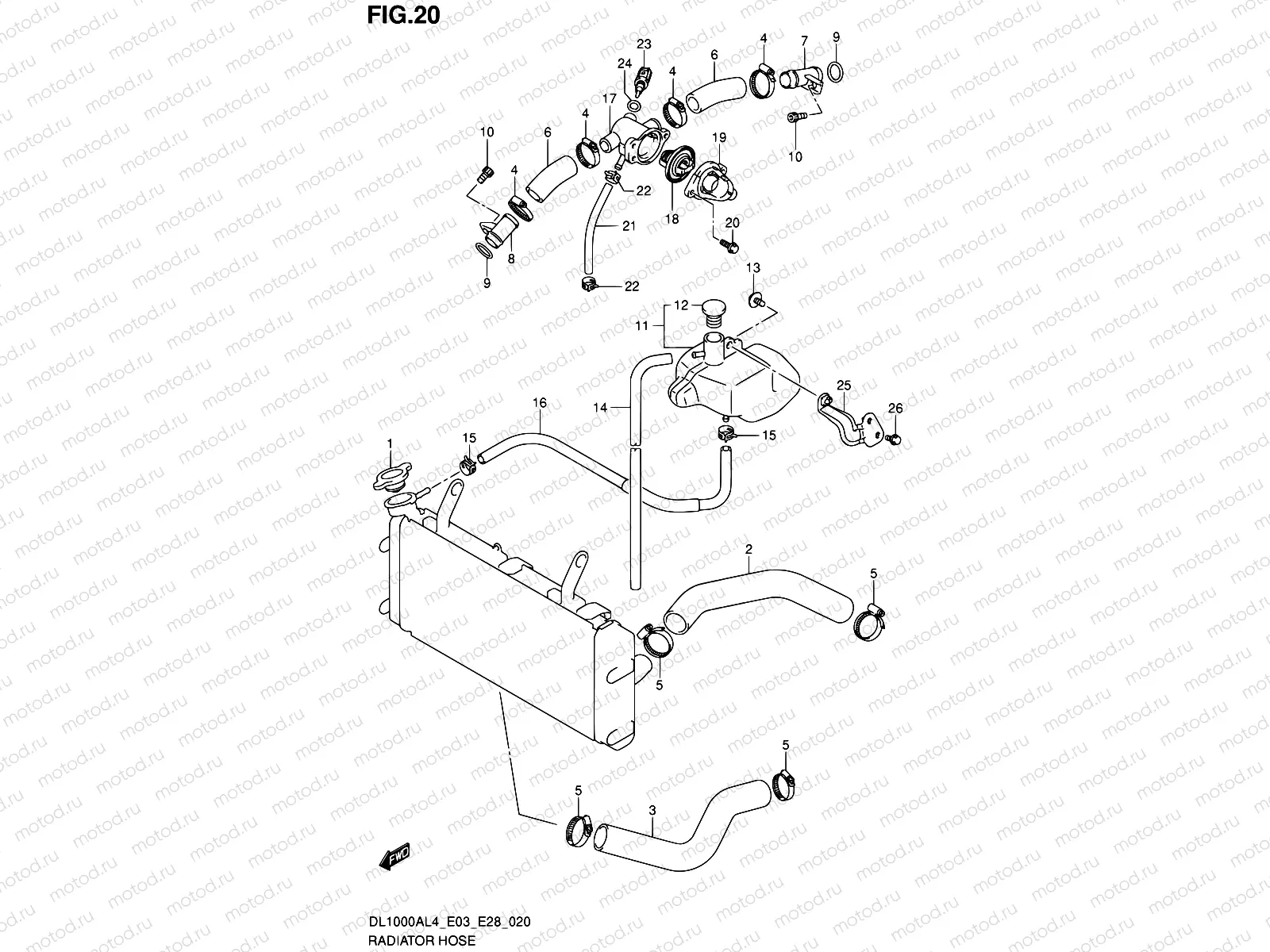20 - RADIATOR HOSE