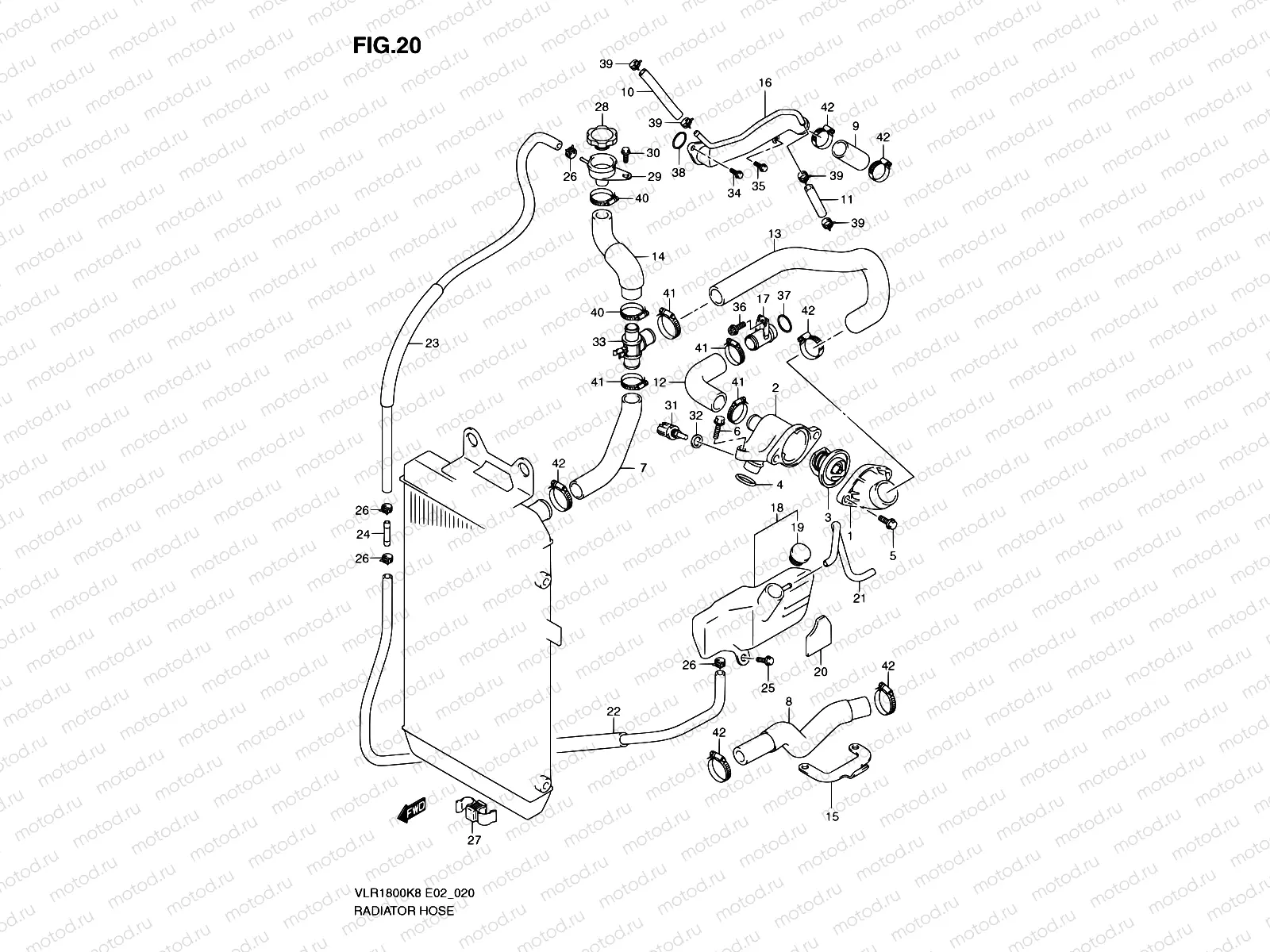 20 - RADIATOR HOSE