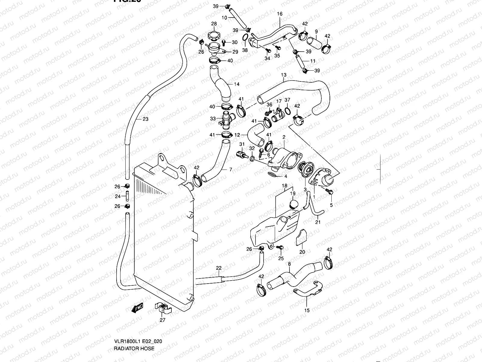 20 - RADIATOR HOSE