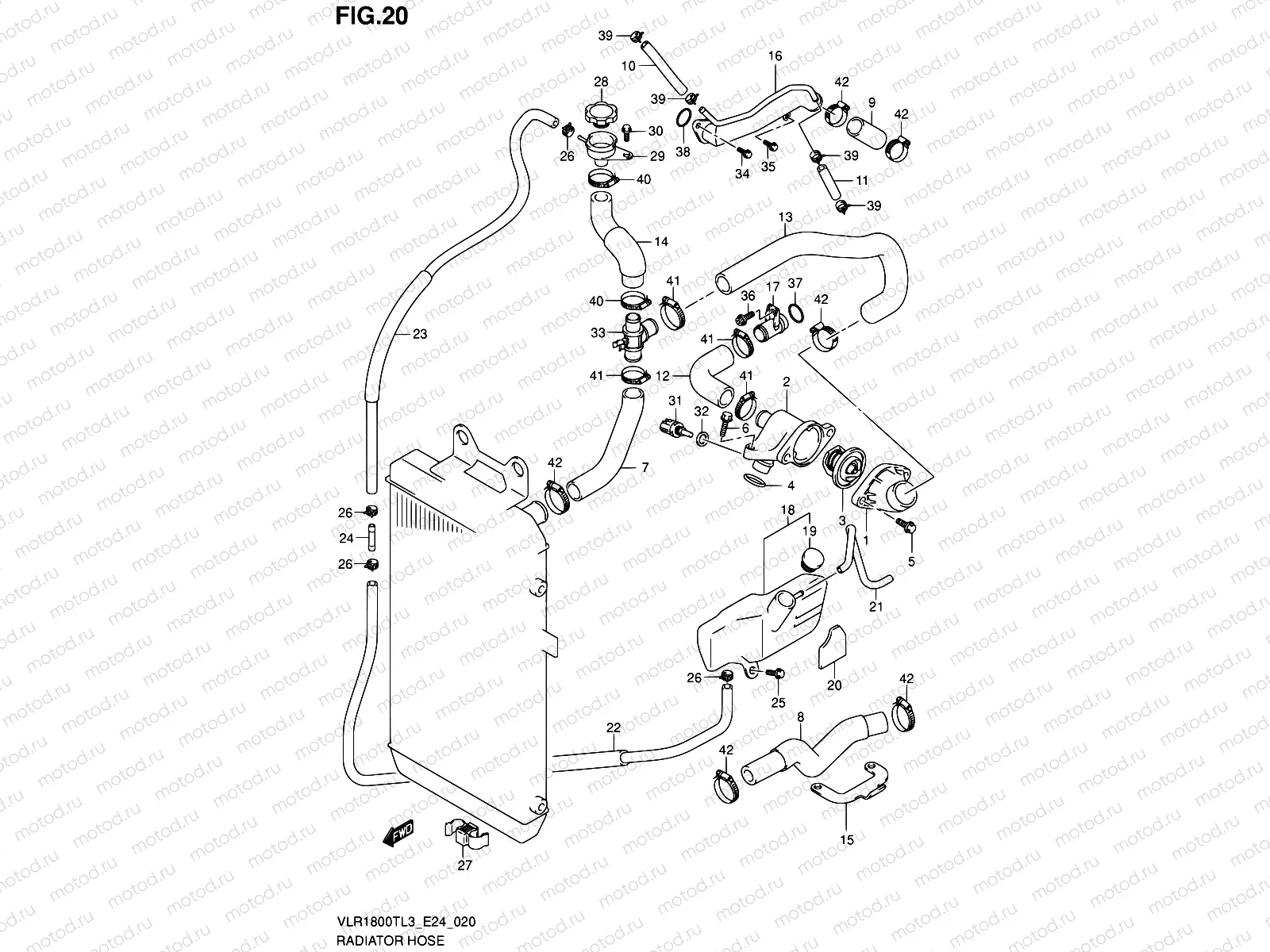 20 - RADIATOR HOSE