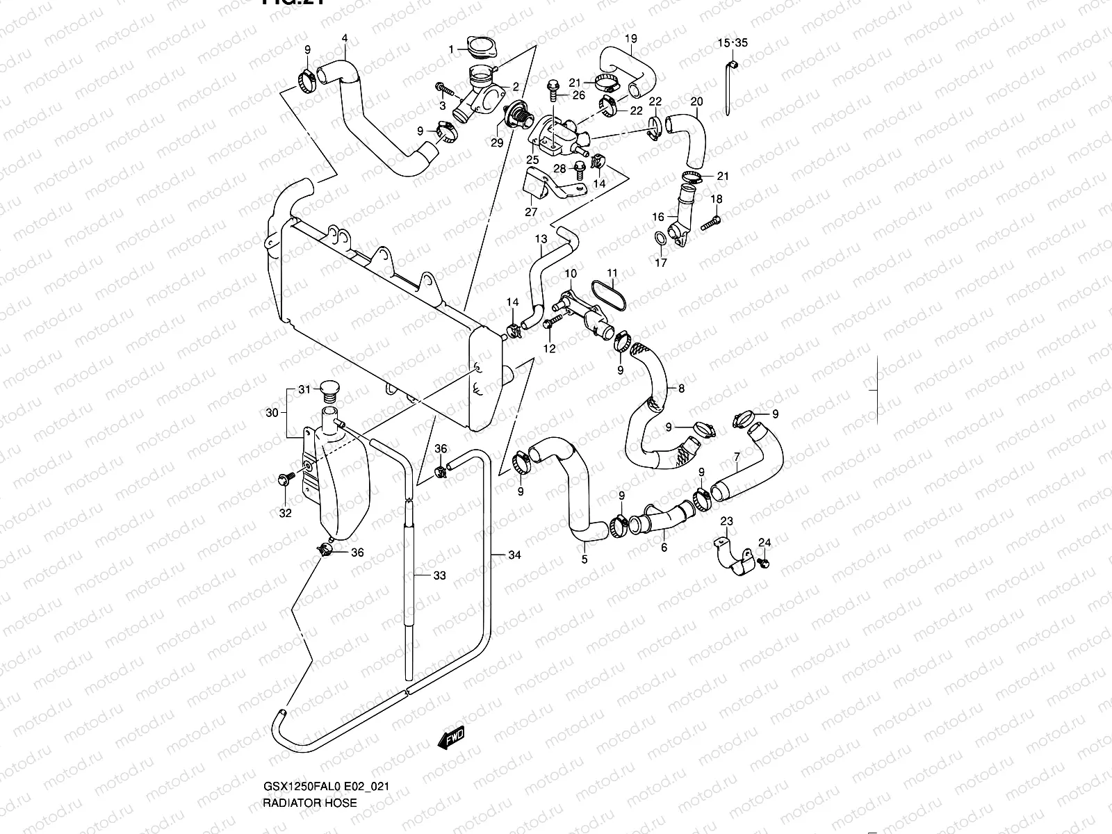 21 - RADIATOR HOSE