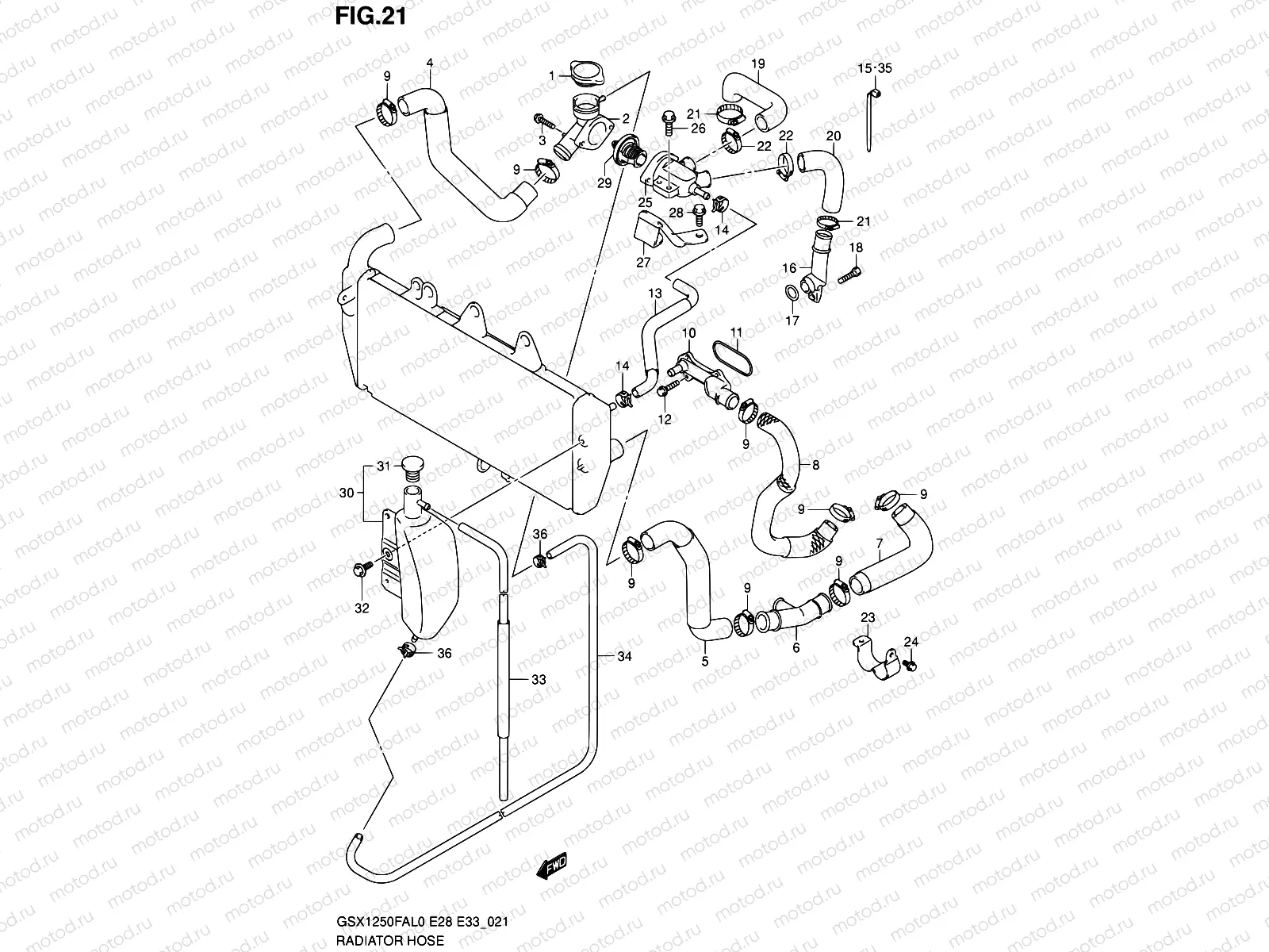 21 - RADIATOR HOSE