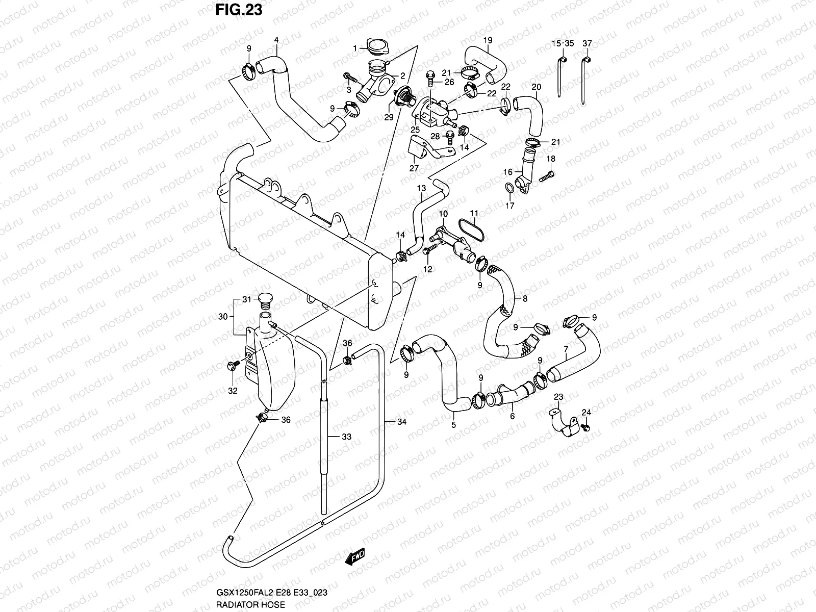 23 - RADIATOR HOSE