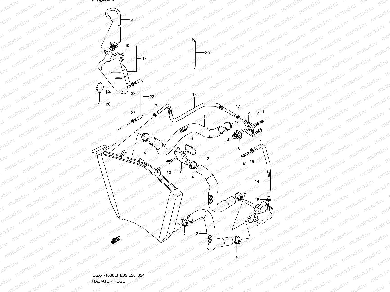 24 - RADIATOR HOSE
