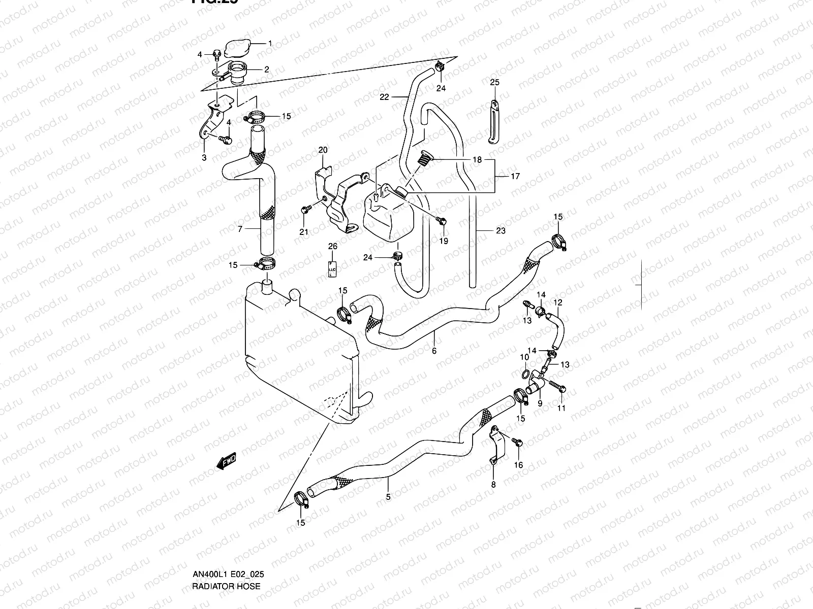 25 - RADIATOR HOSE