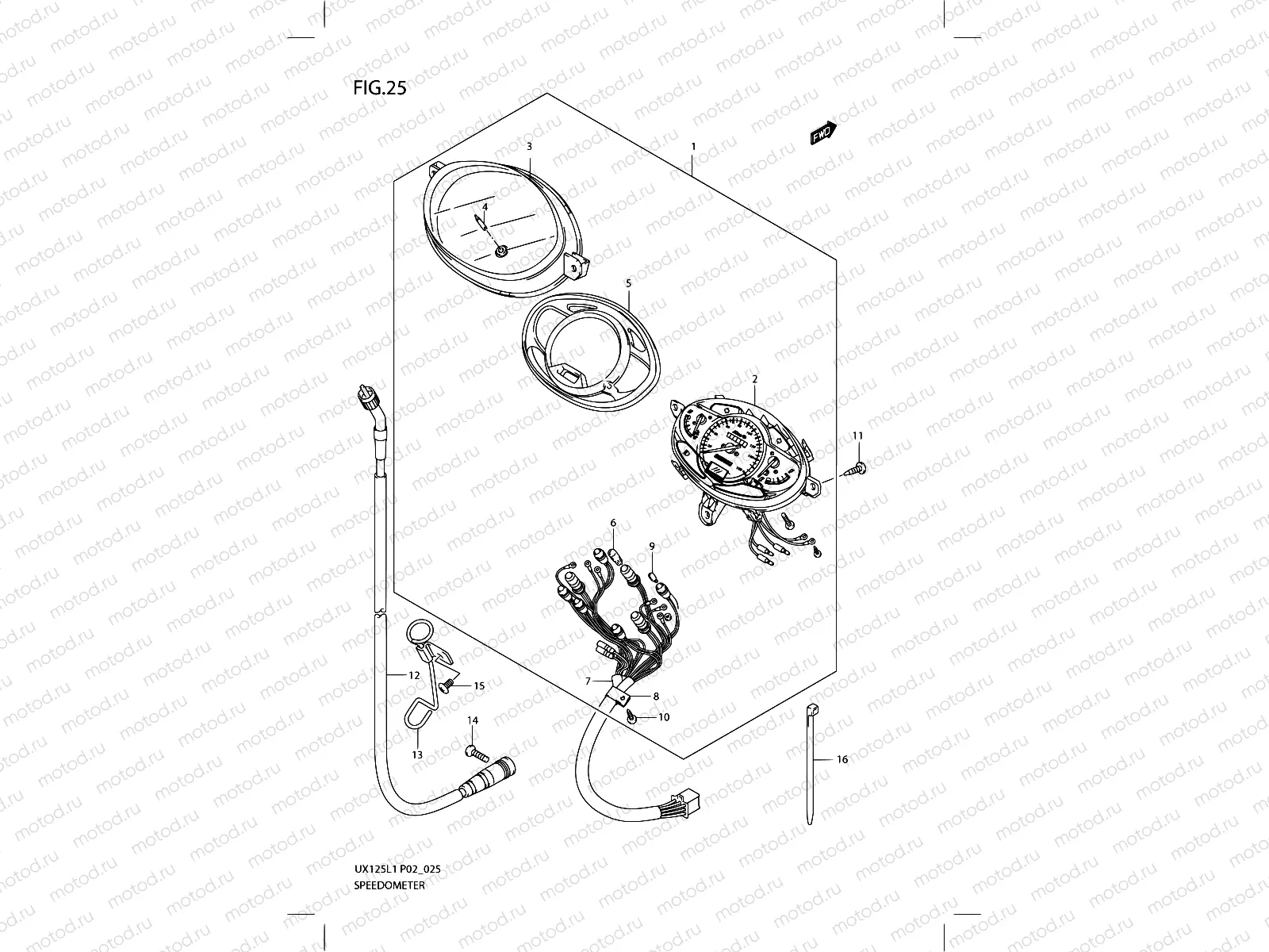 25 - SPEEDOMETER P19