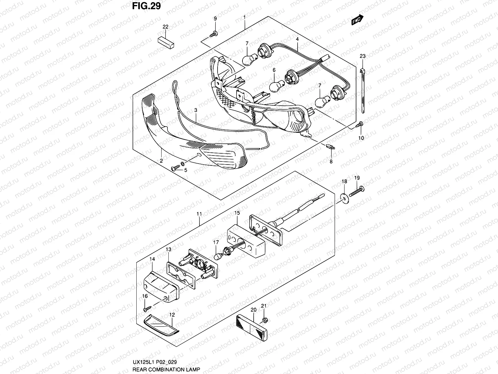 29 - REAR COMBINATION LAMP