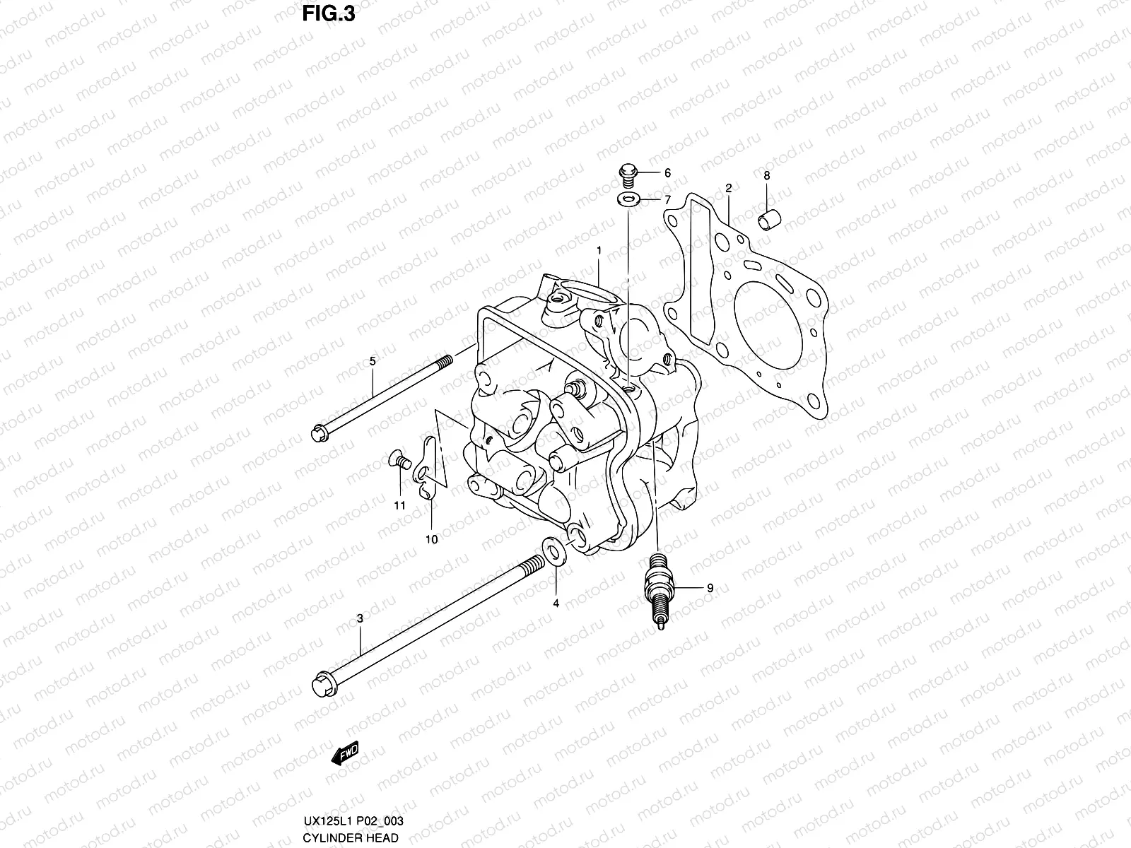 3 - CYLINDER HEAD
