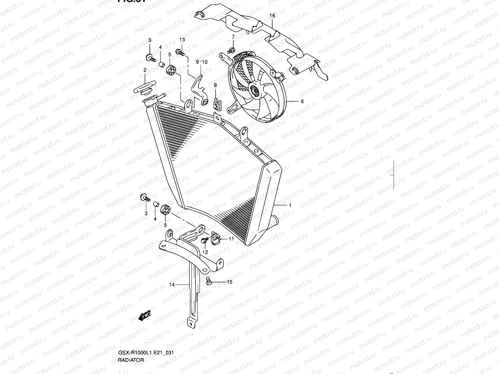 31 - RADIATOR