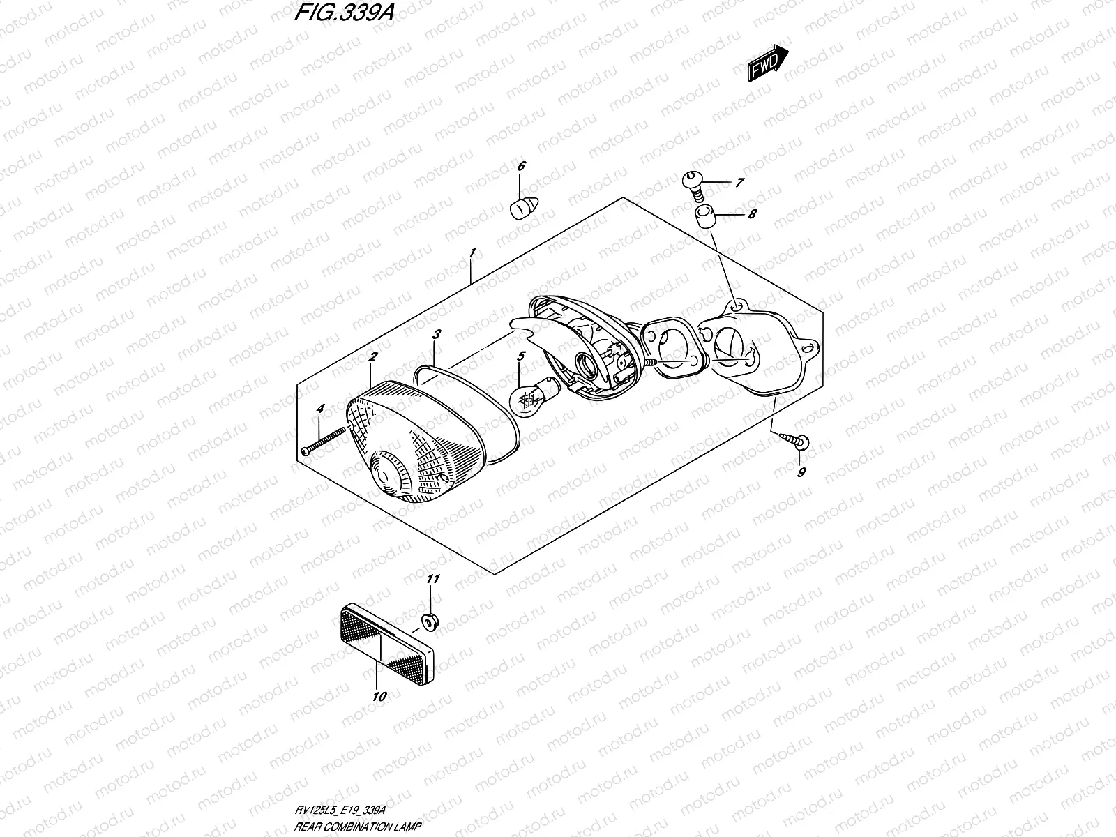 339A - REAR COMBINATION LAMP