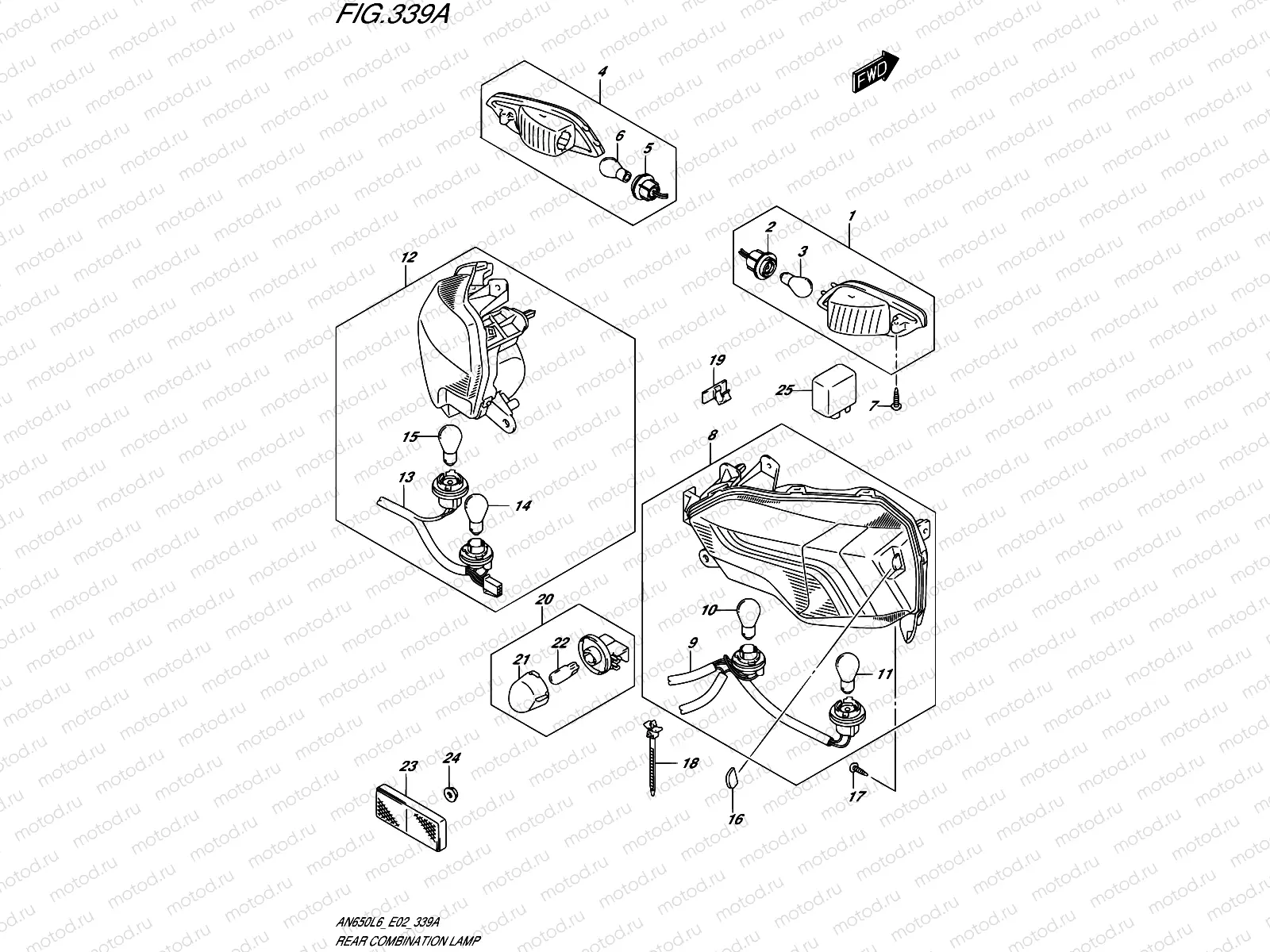 339A - REAR COMBINATION LAMP