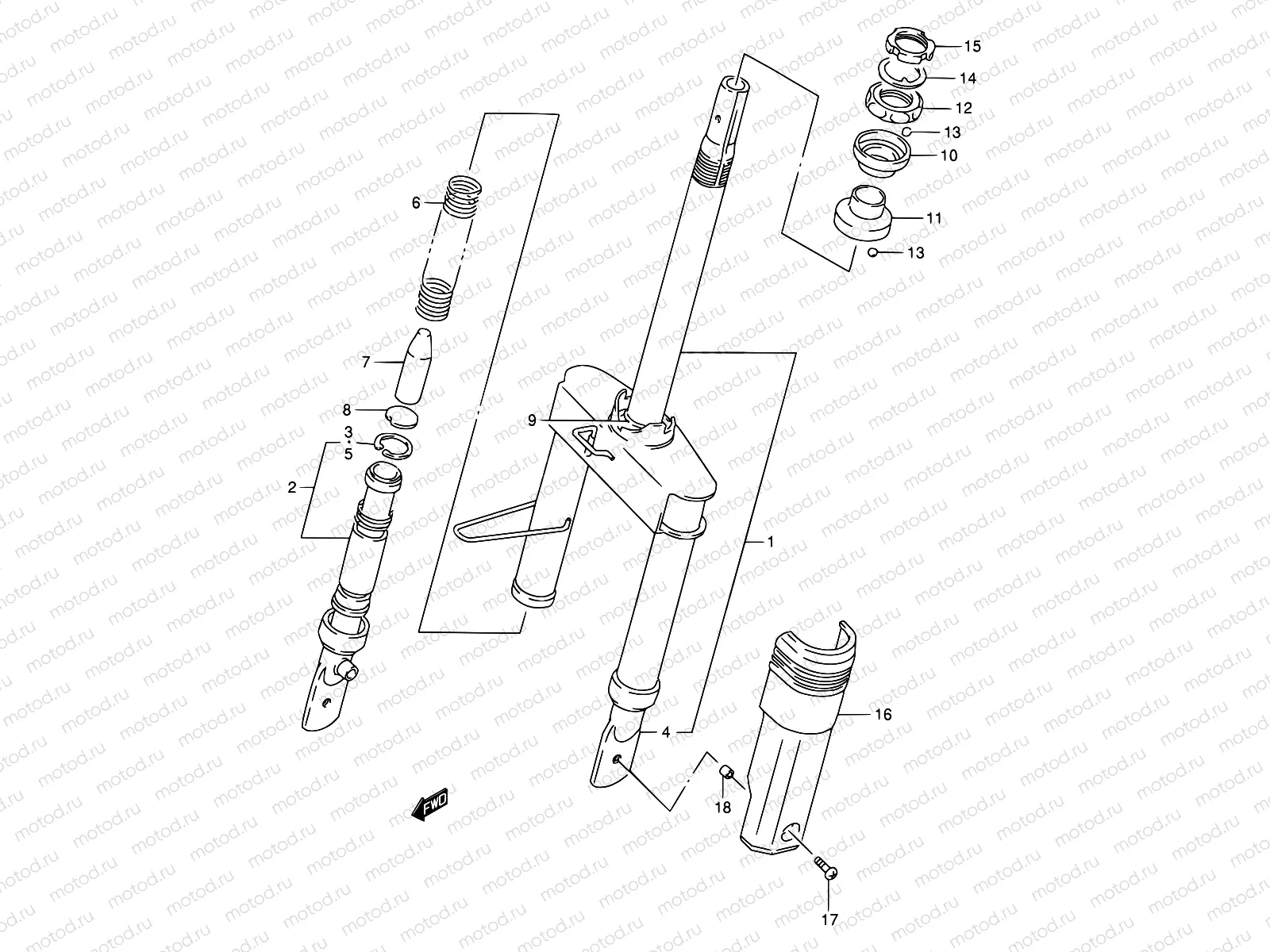 36 - FRONT FORK (AE50L/M/N/P)