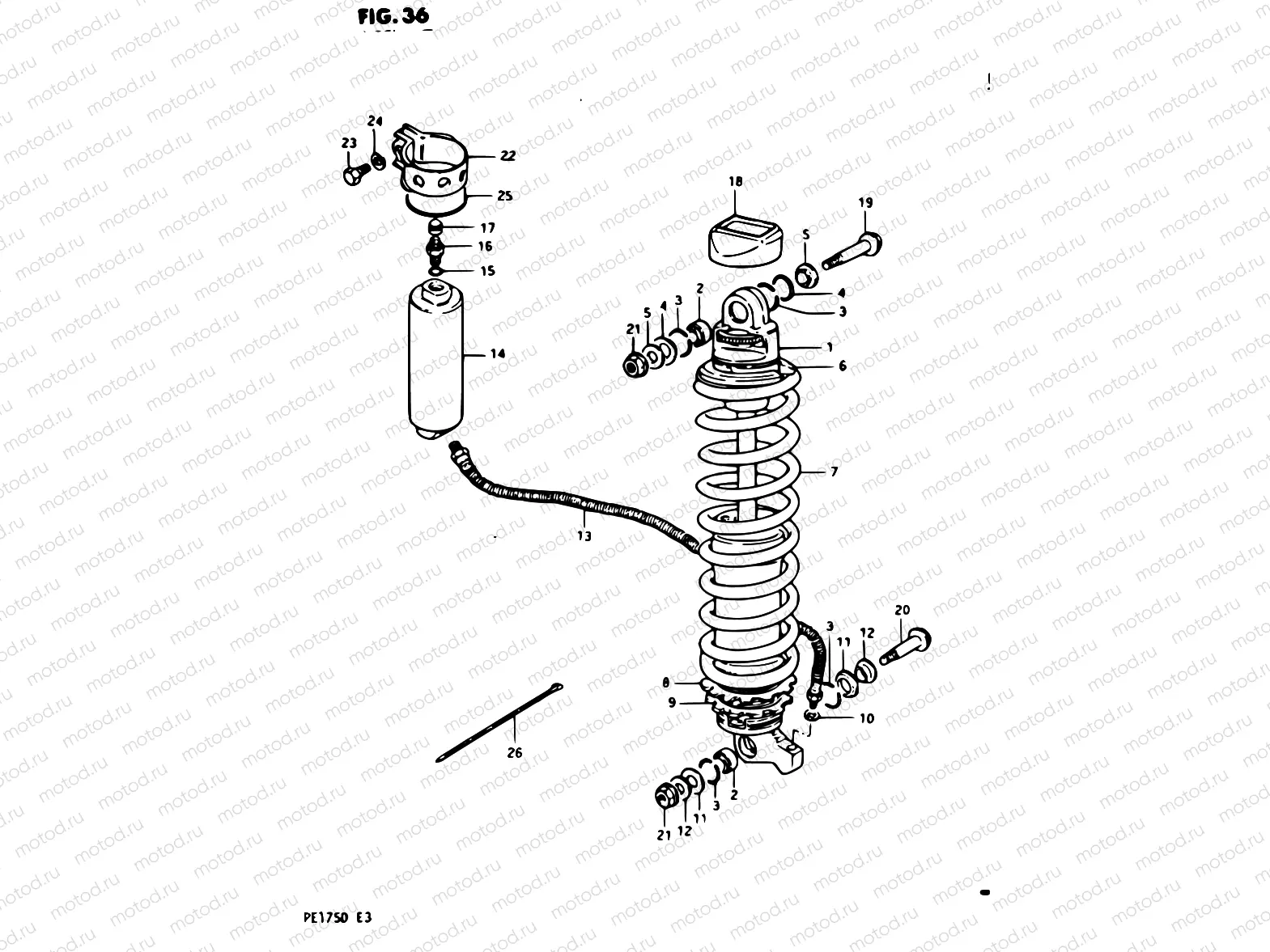 36 - SHOCK ABSORBER