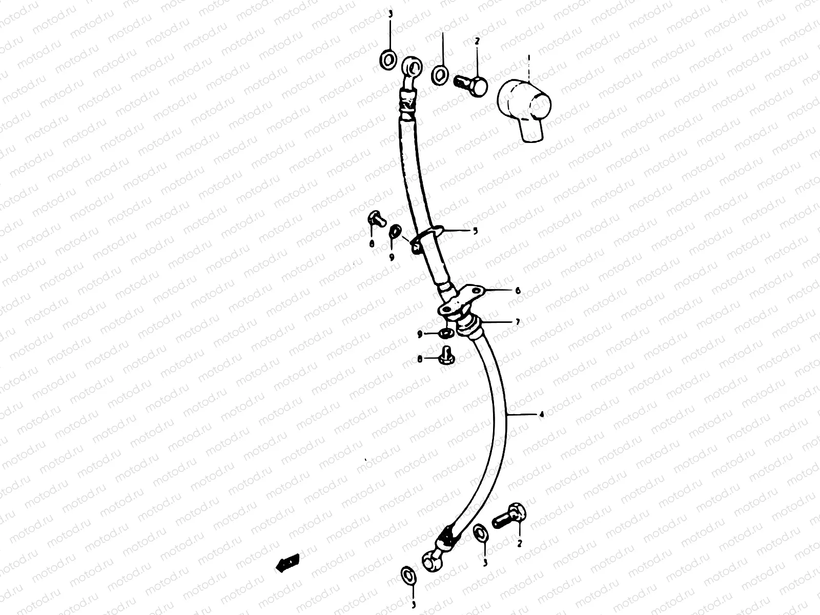 37 - BRAKE HOSE
