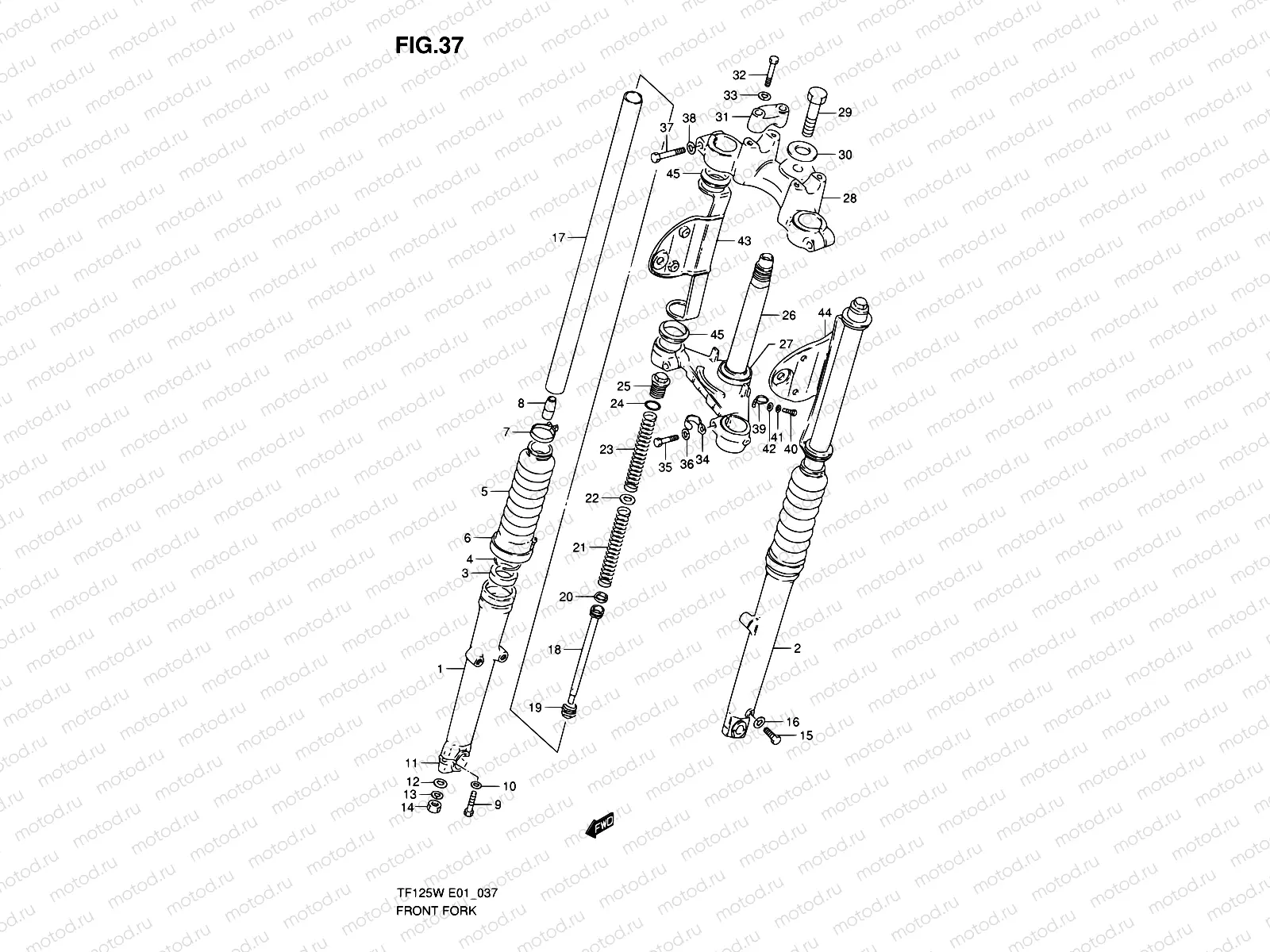 37 - FRONT FORK (MODEL X ~F.NO.126489)