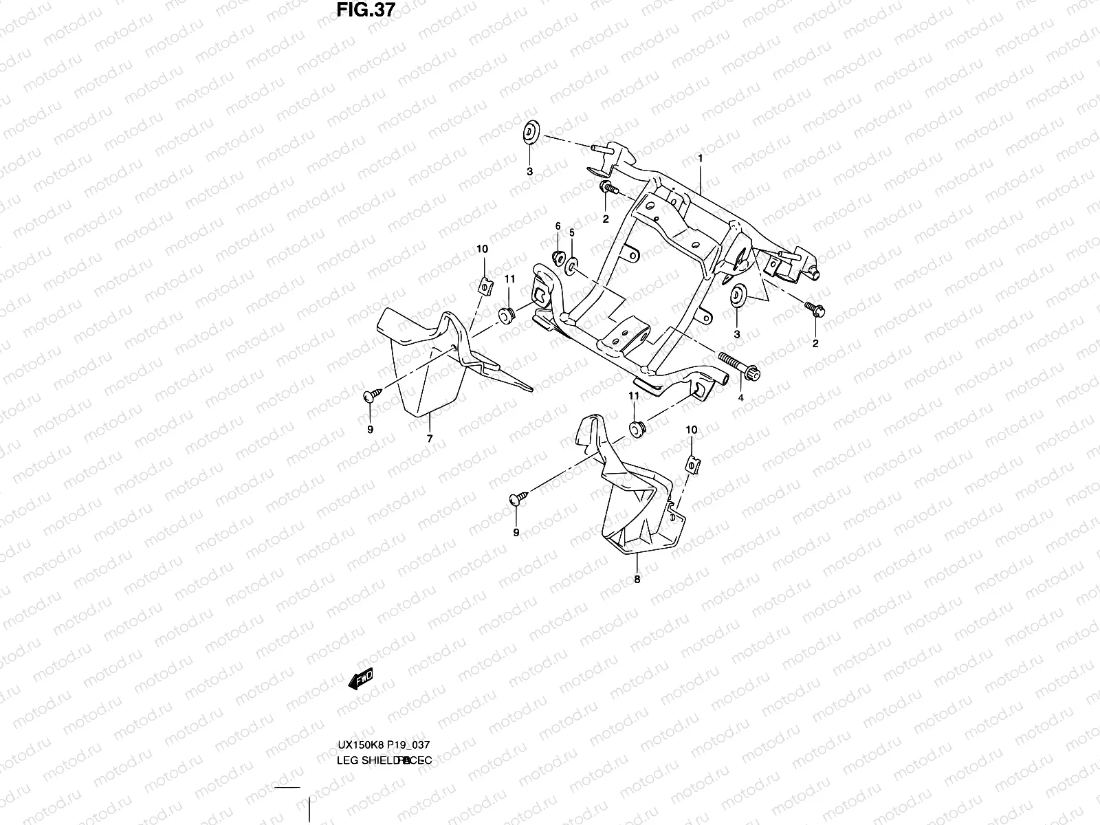 37 - LEG SHIELD BRACE