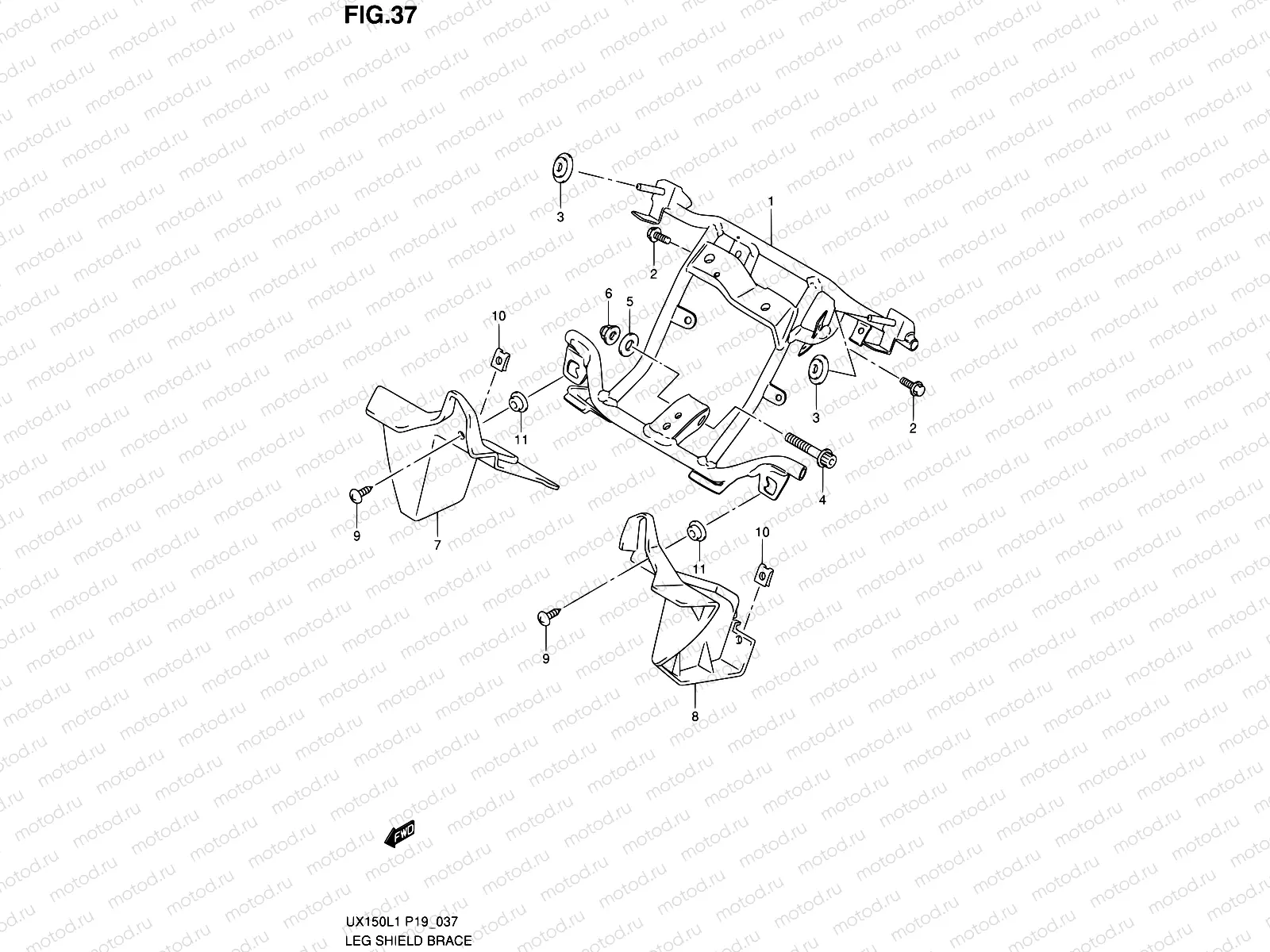 37 - LEG SHIELD BRACE