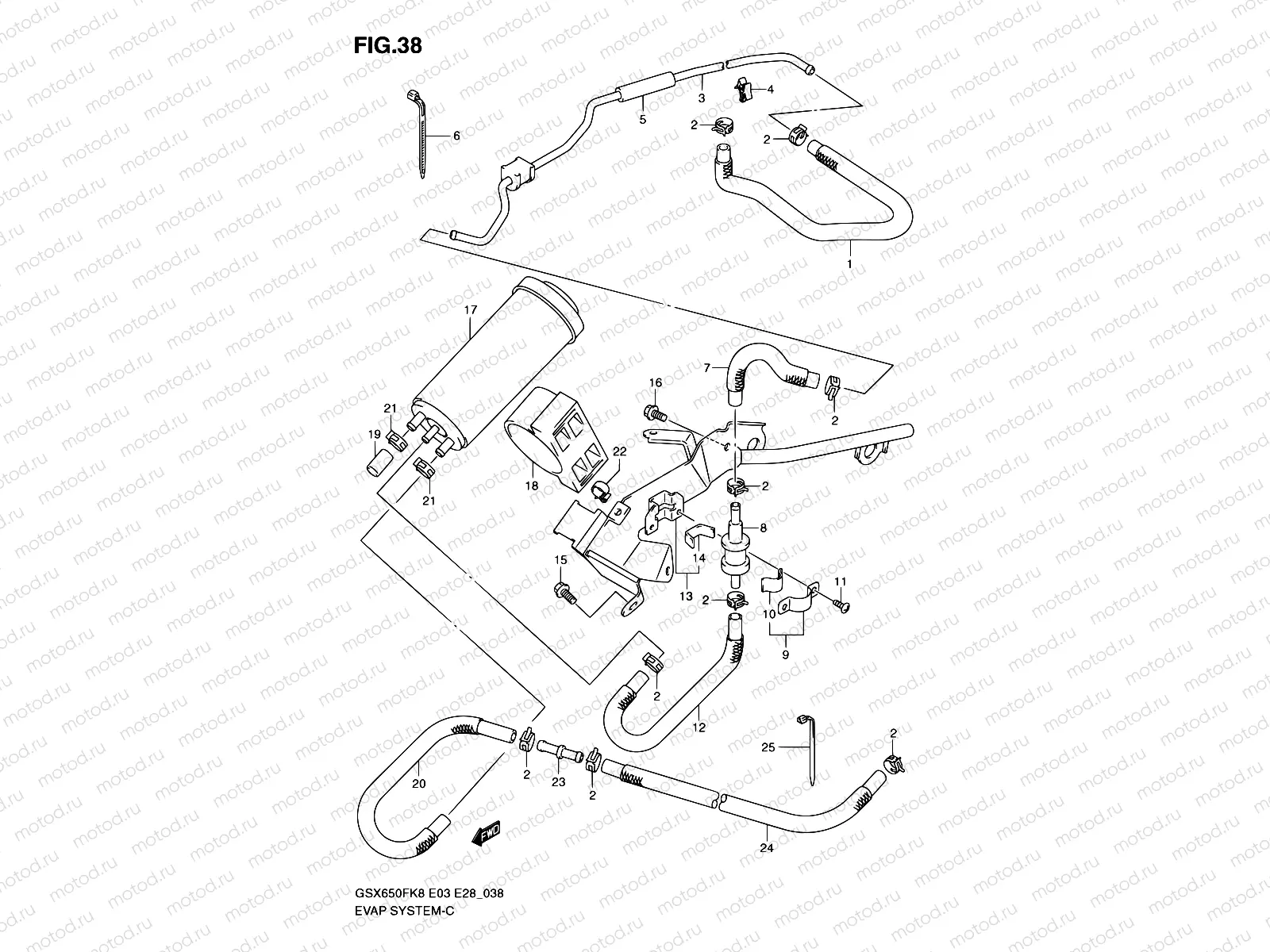 38 - EVAP SYSTEM (E33)