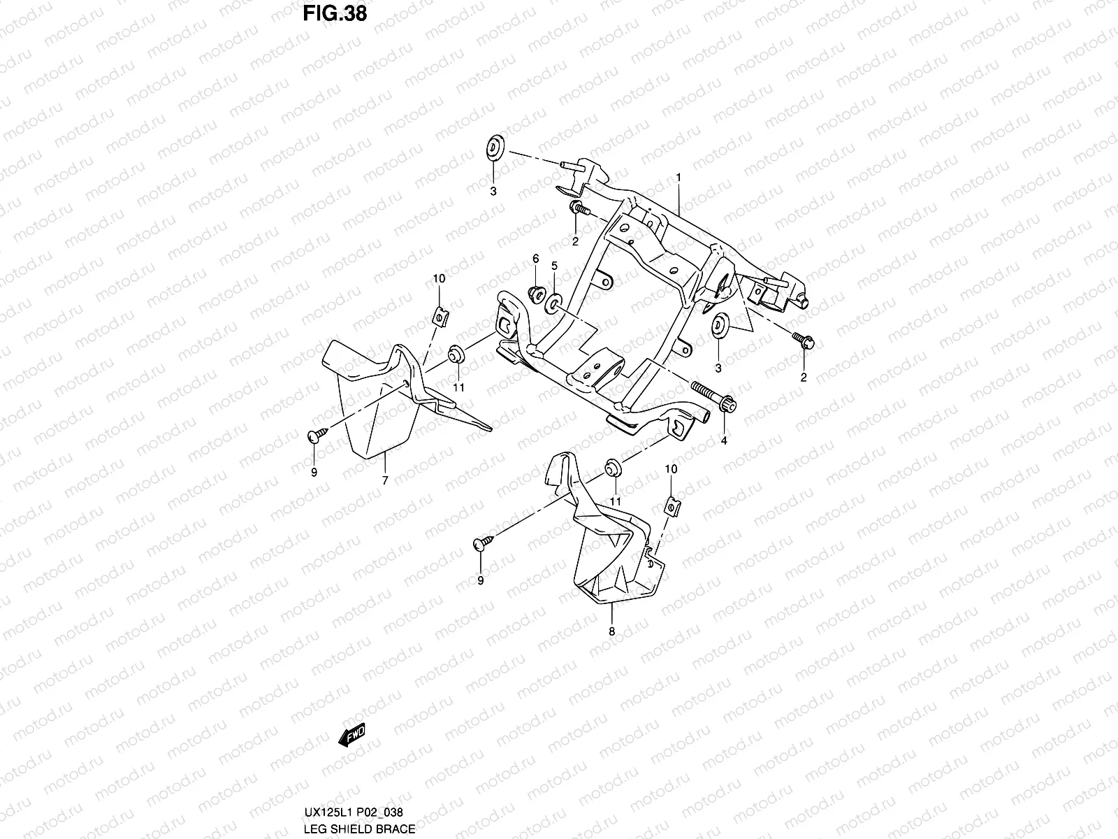38 - LEG SHIELD BRACE