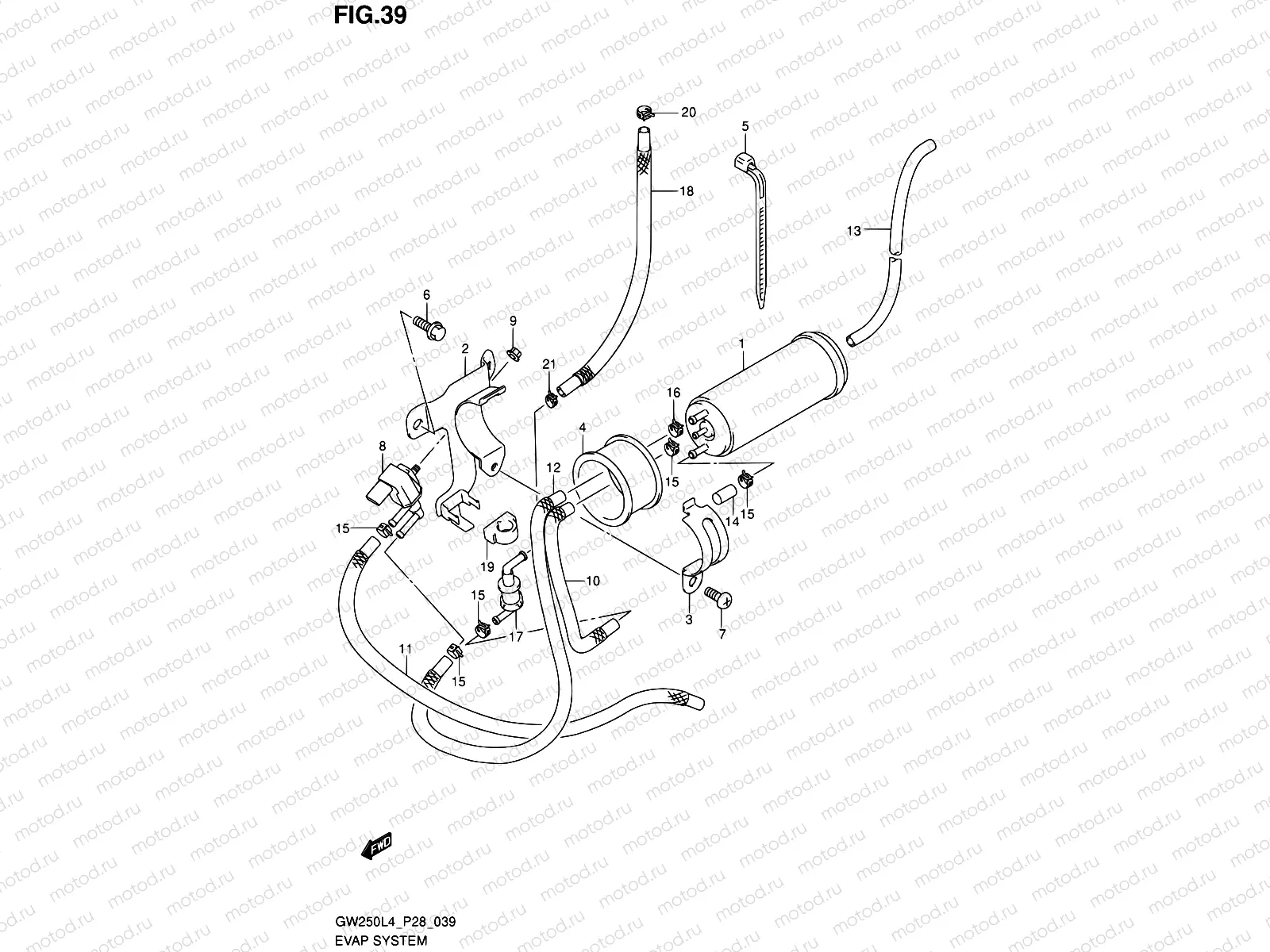 39 - EVAP SYSTEM