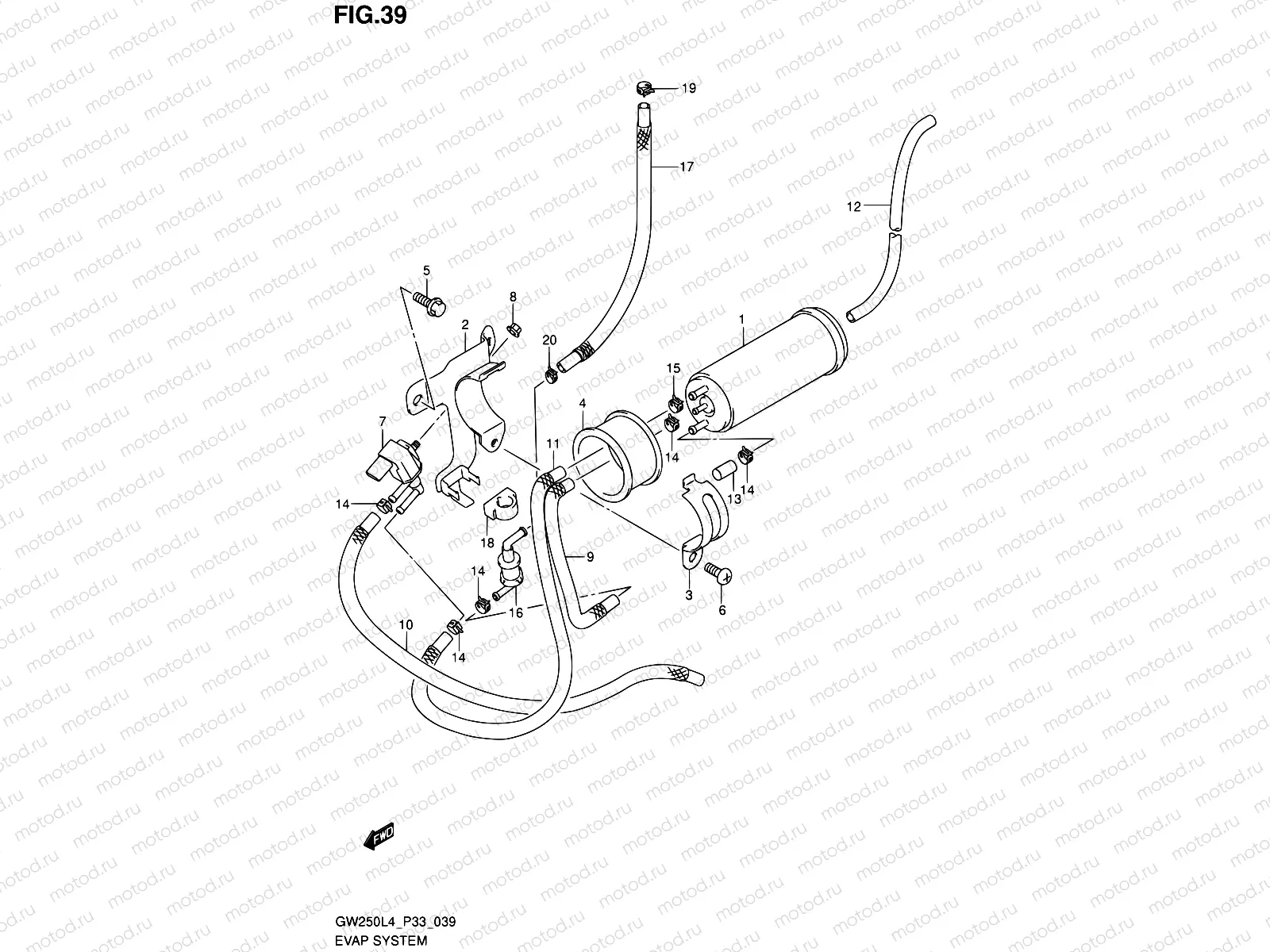 39 - EVAP SYSTEM