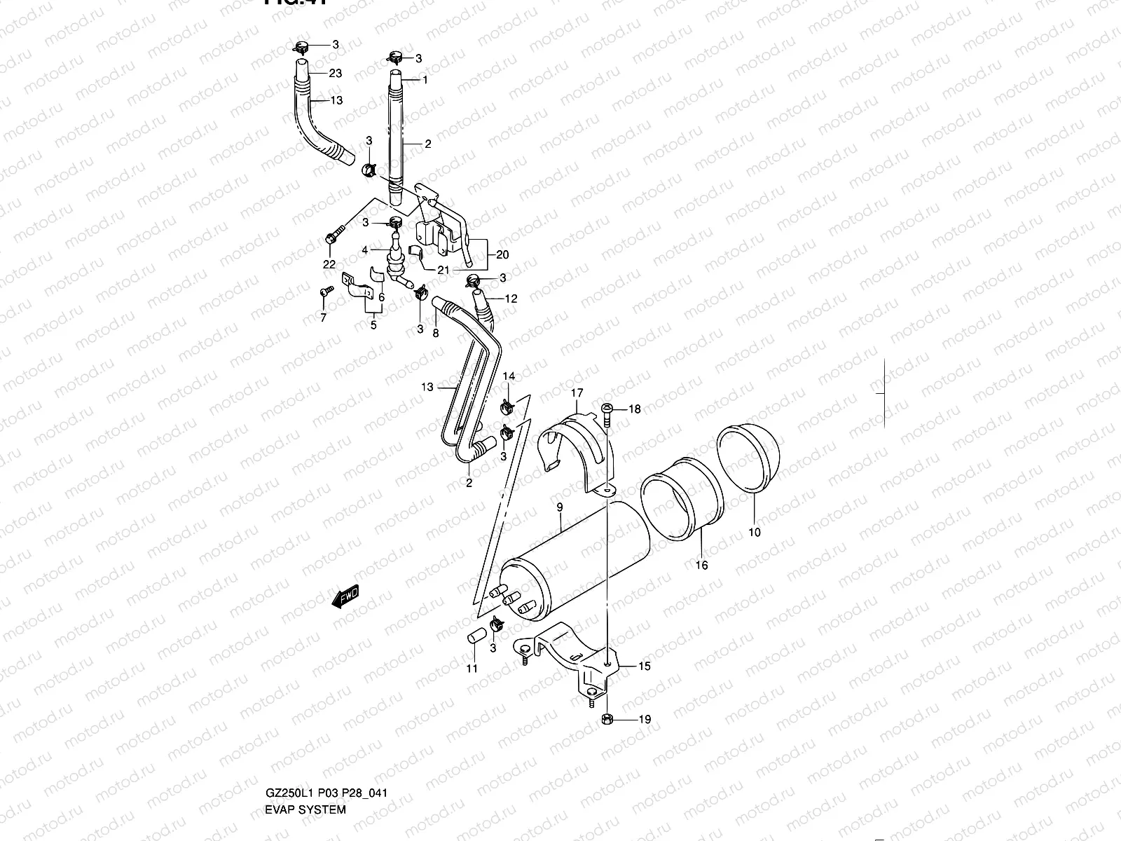 41 - EVAPO SYSTEM (P33)