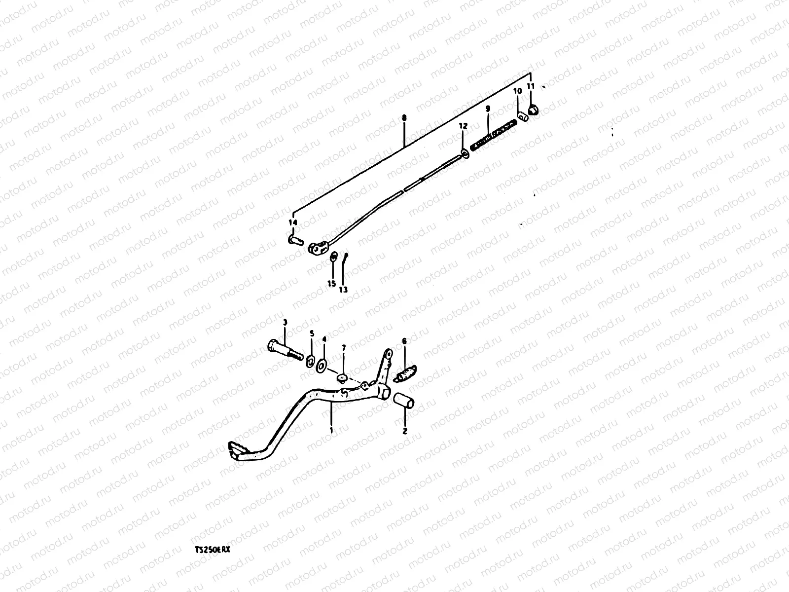 41 - REAR BRAKE