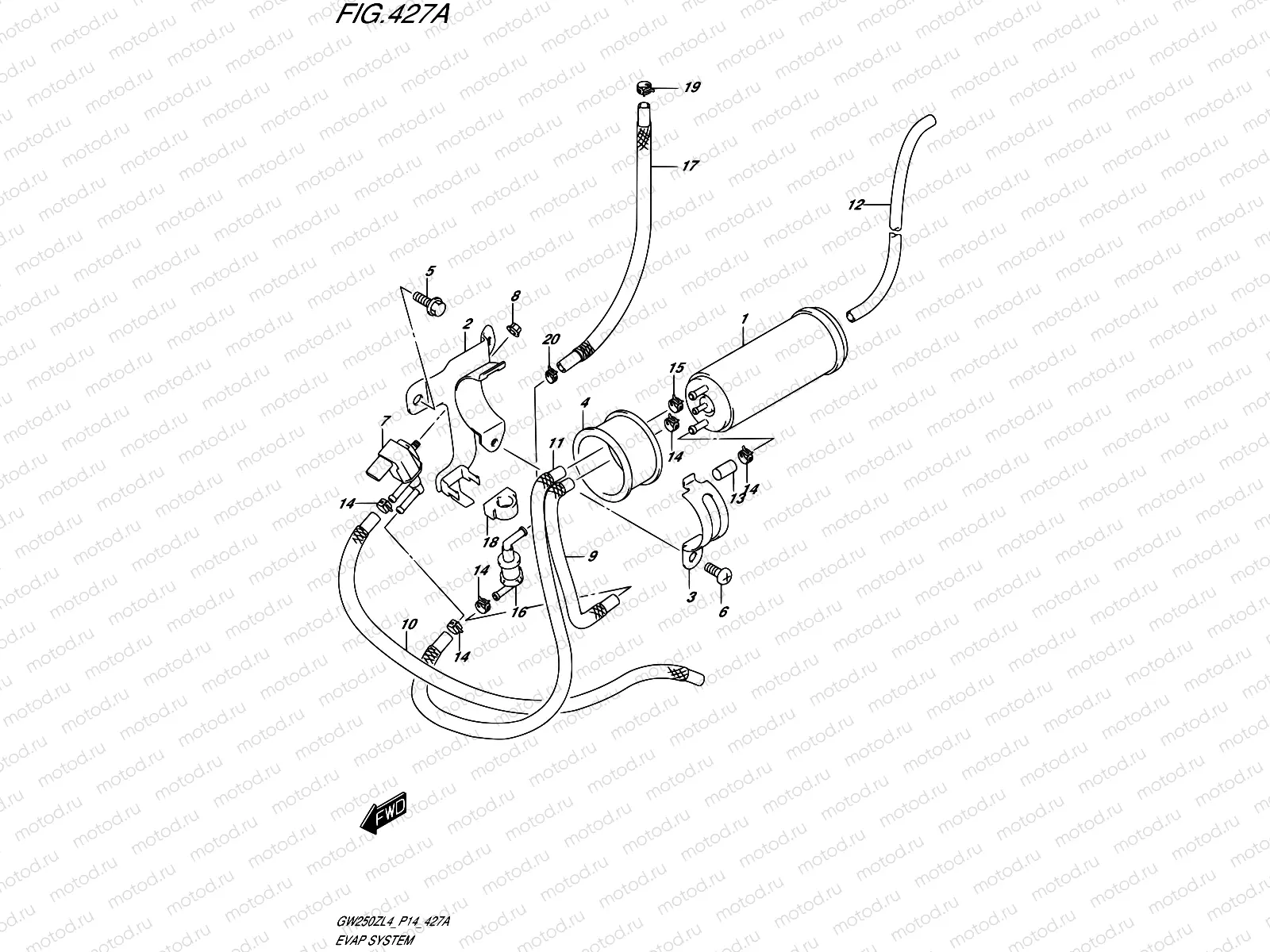 427A - EVAP SYSTEM