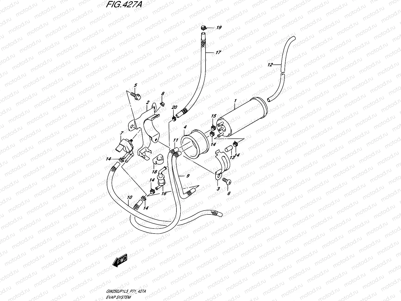 427A - EVAP SYSTEM
