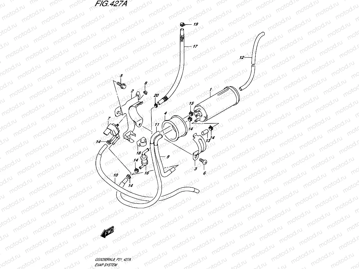 427A - EVAP SYSTEM