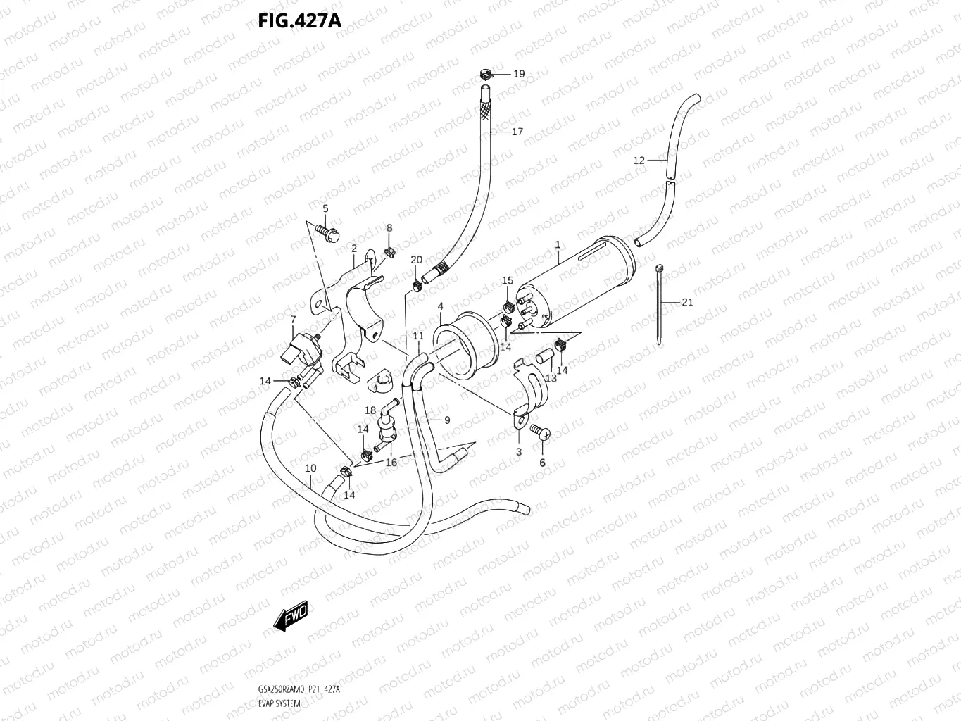427A - EVAP SYSTEM