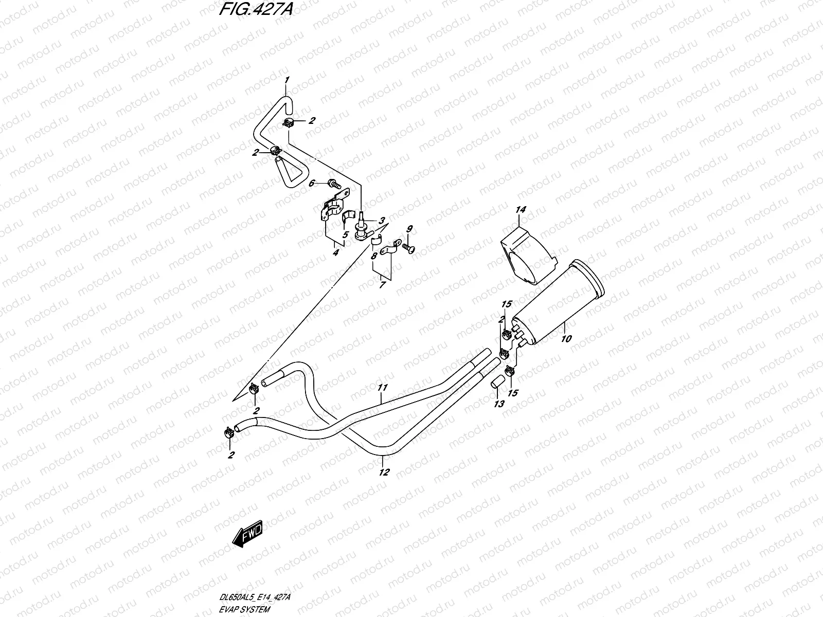 427A - EVAP SYSTEM