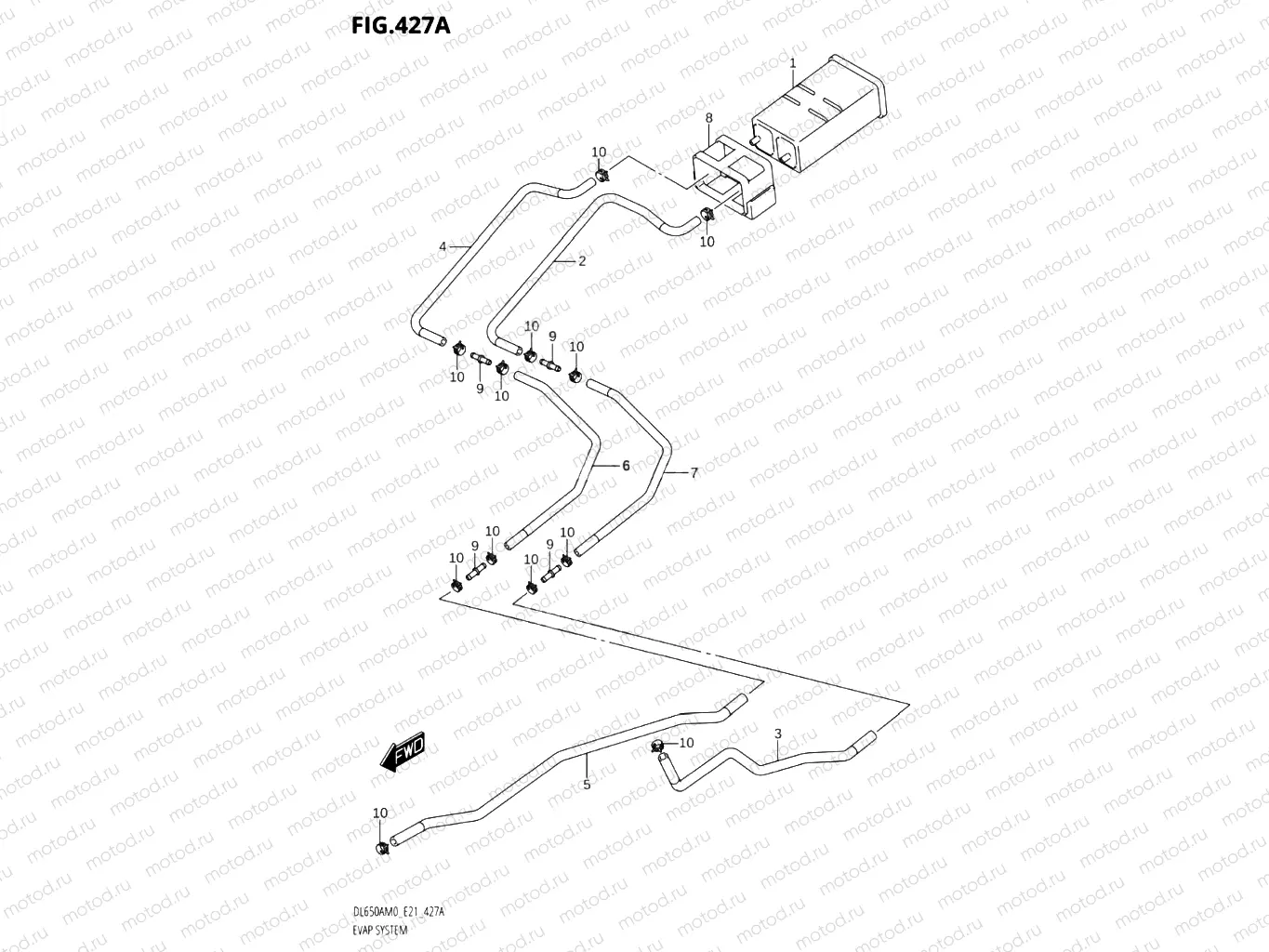 427A - EVAP SYSTEM