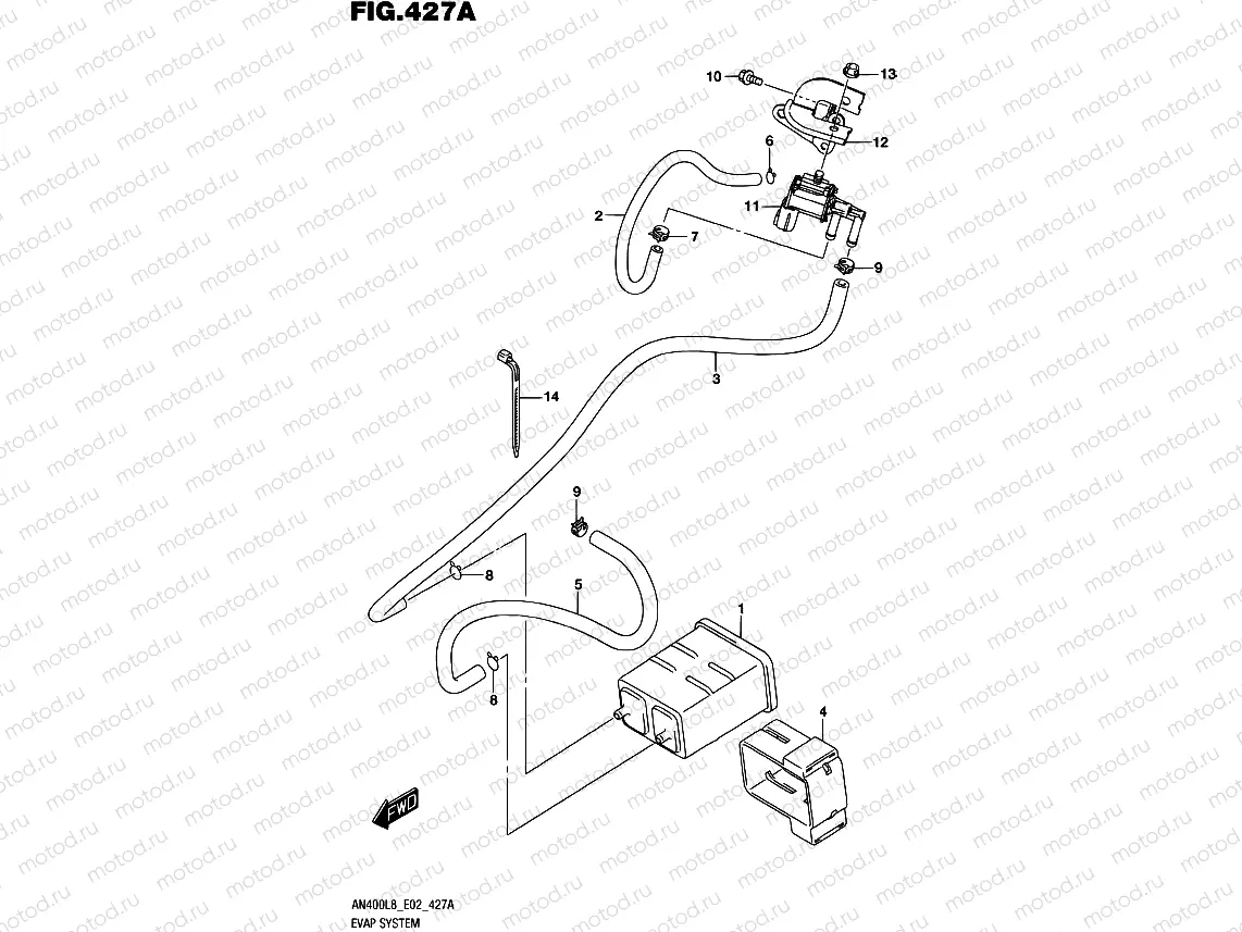 427A - EVAP SYSTEM