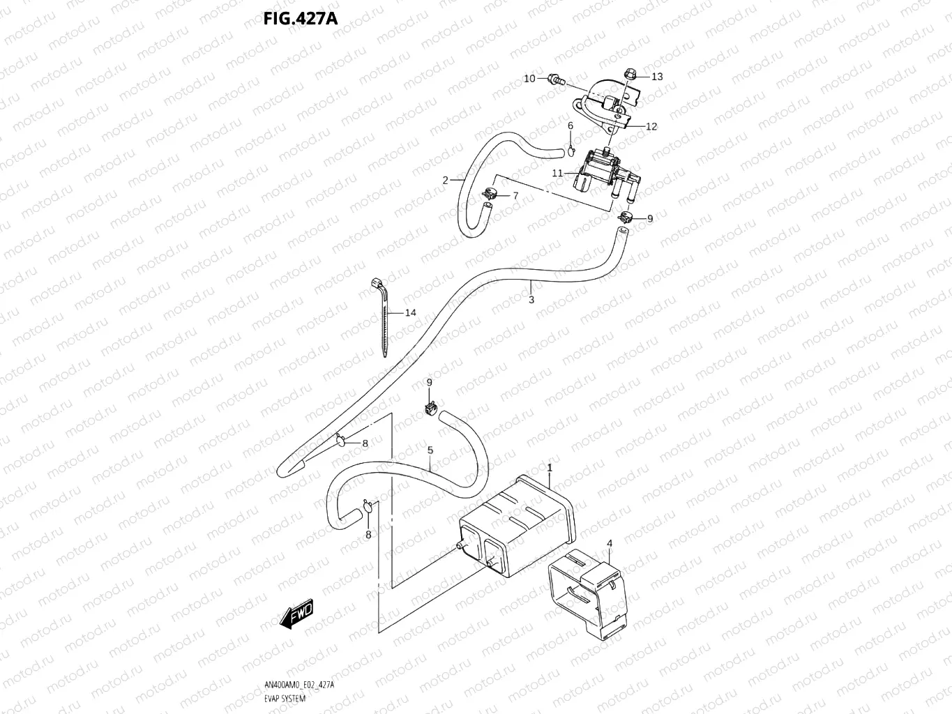 427A - EVAP SYSTEM
