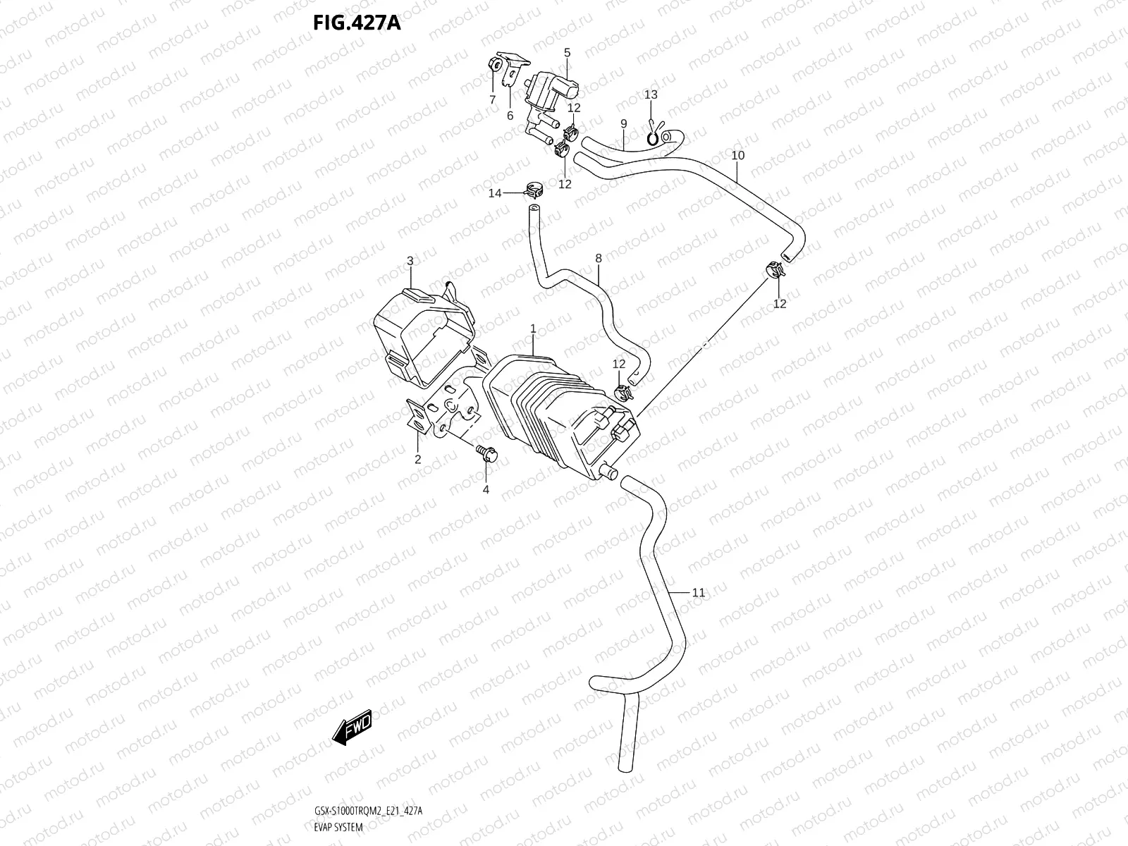 427A - EVAP SYSTEM
