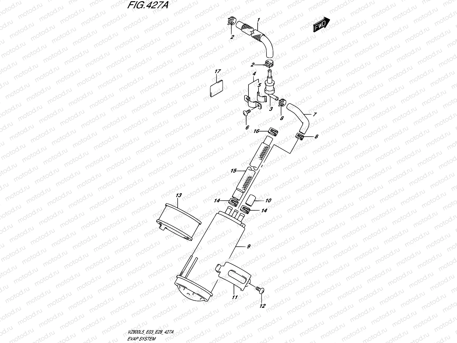 427A - EVAP SYSTEM (VZ800L5 E33)