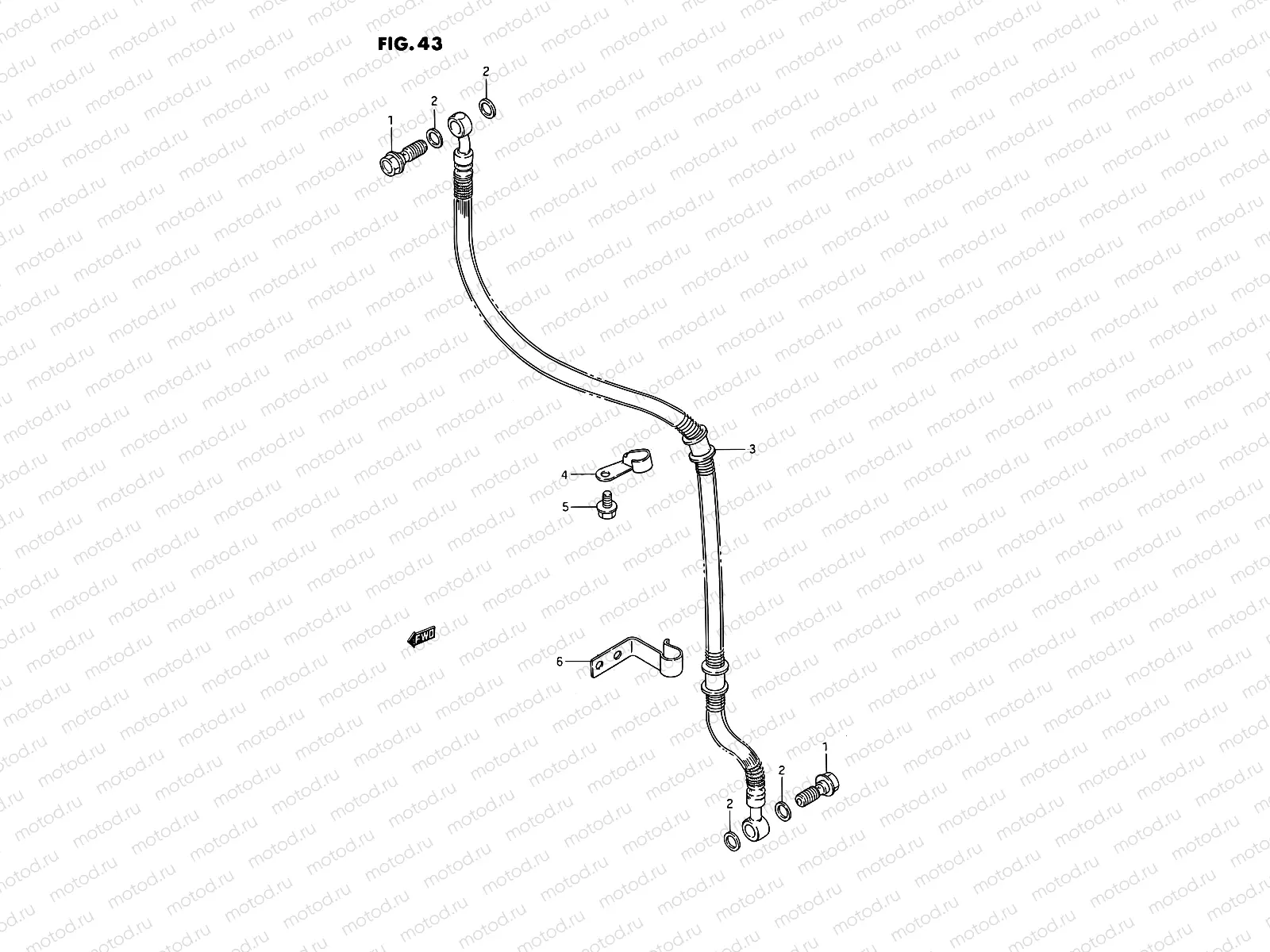 43 - FRONT BRAKE HOSE