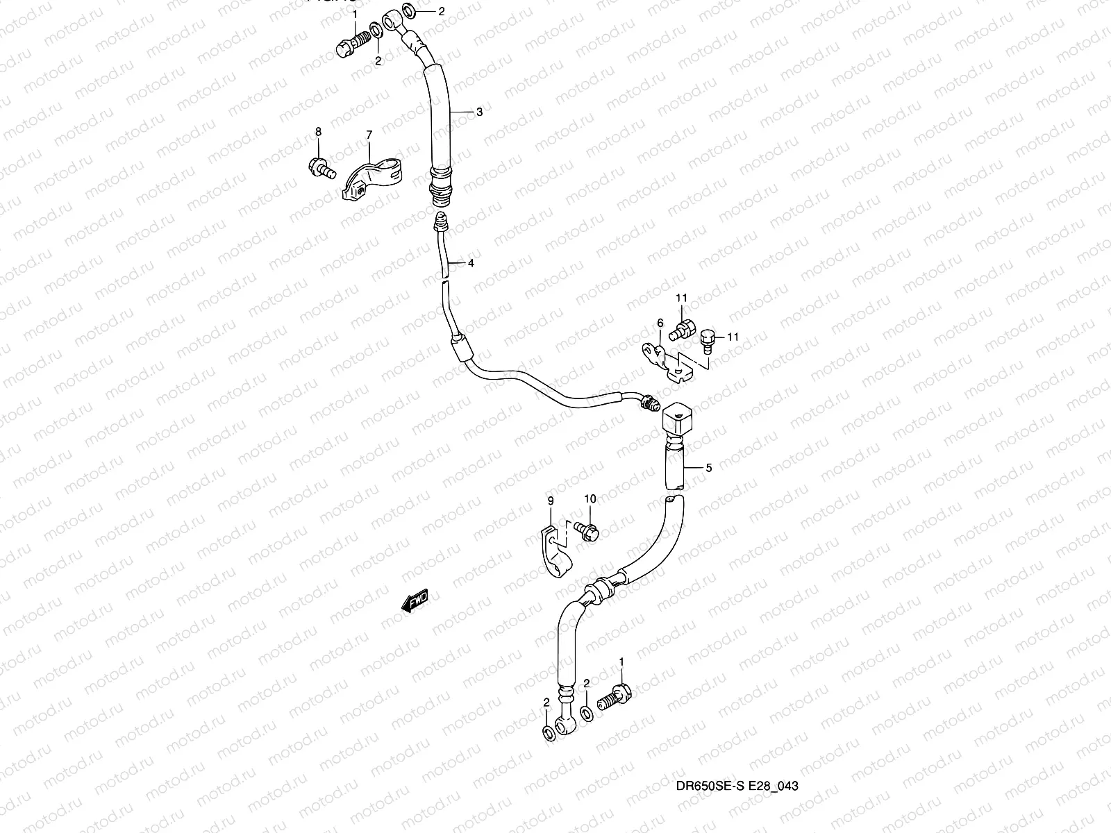 43 - FRONT BRAKE HOSE