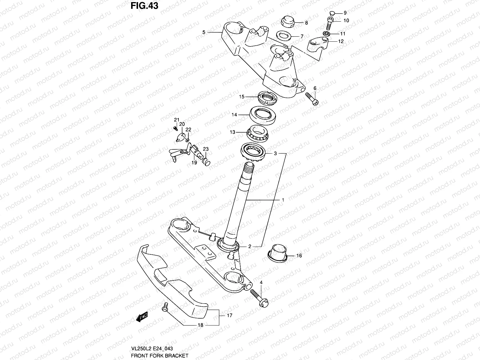 43 - FRONT FORK BRACKET
