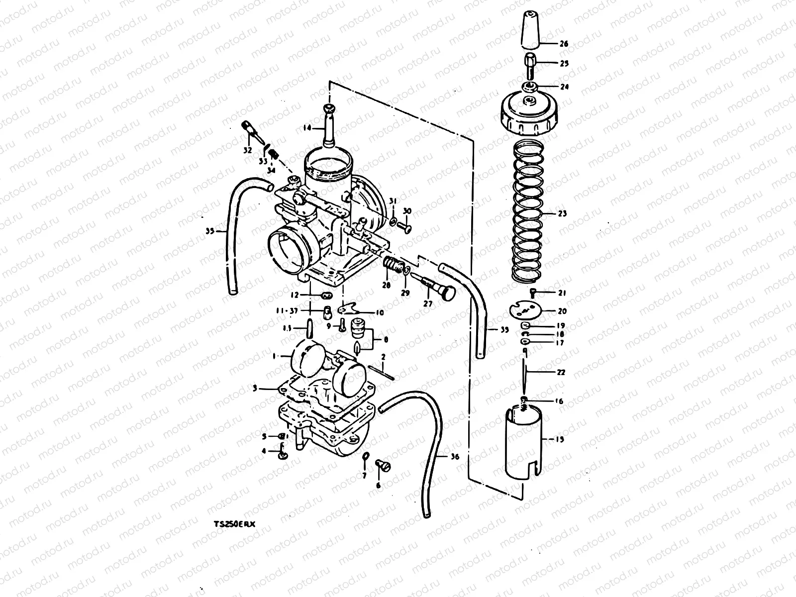 5 - CARBURETOR