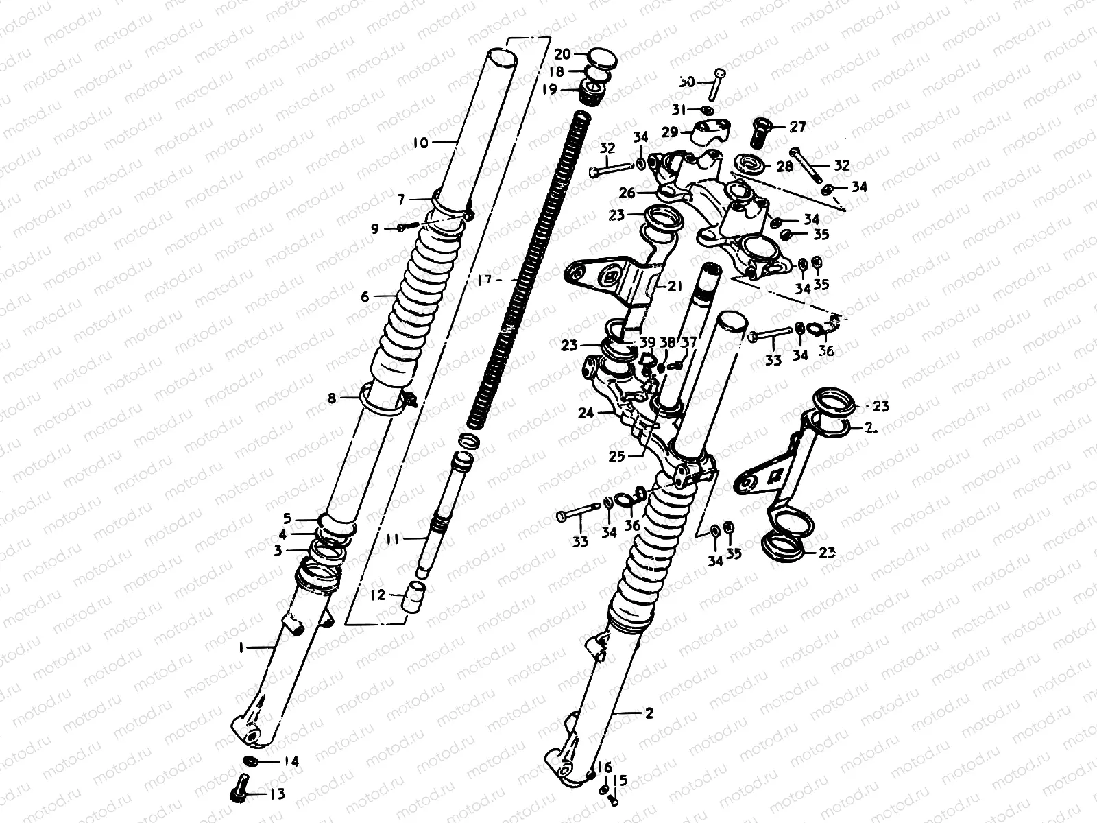 50 - FOR SPECIAL MARKET (E06)