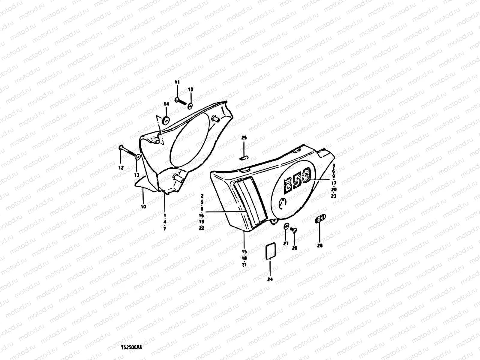 50 - FRAME COVER (TS250ERT)